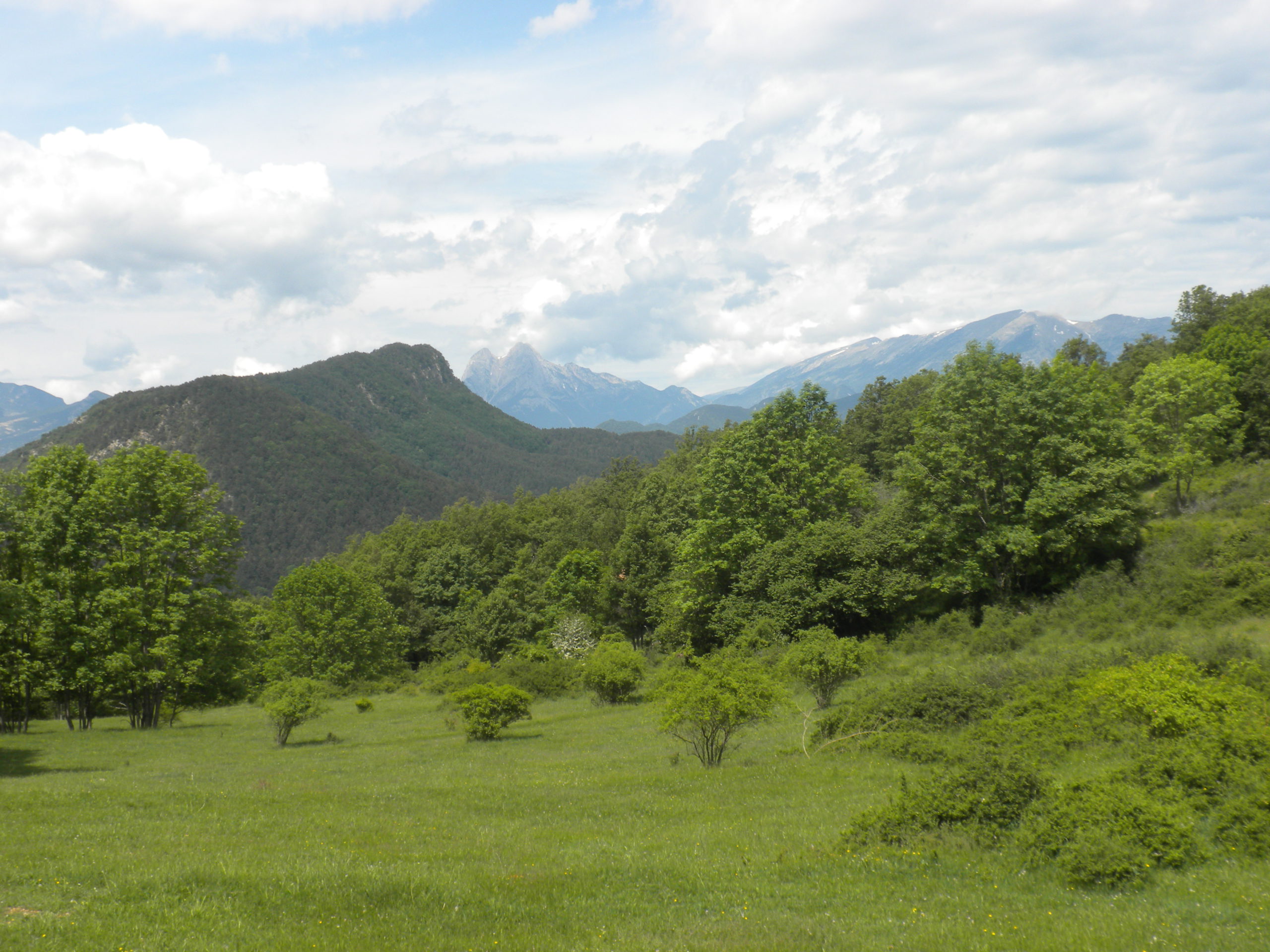 el catllaràs al pedraforca