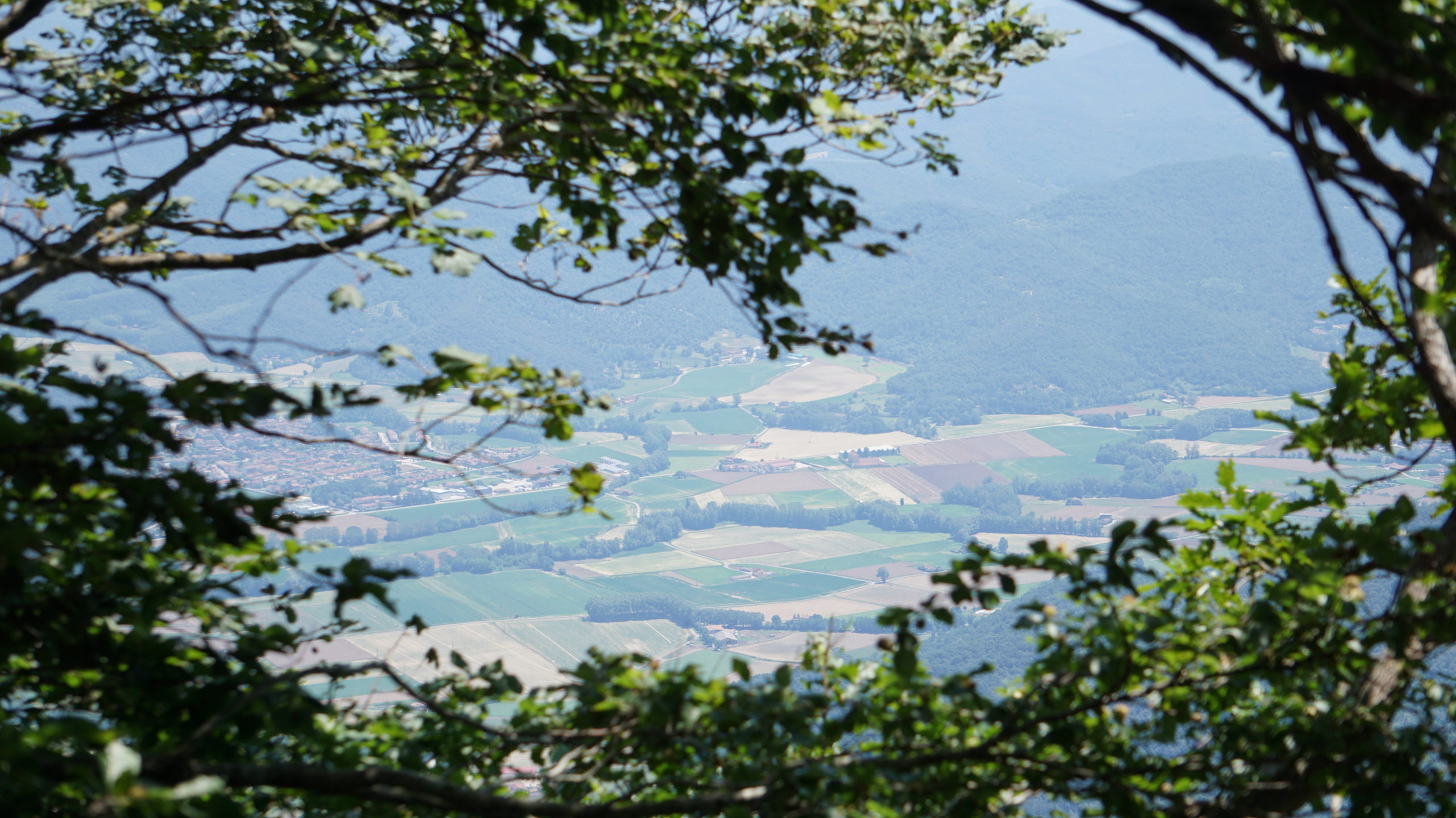 120104f (11) puigsacalm