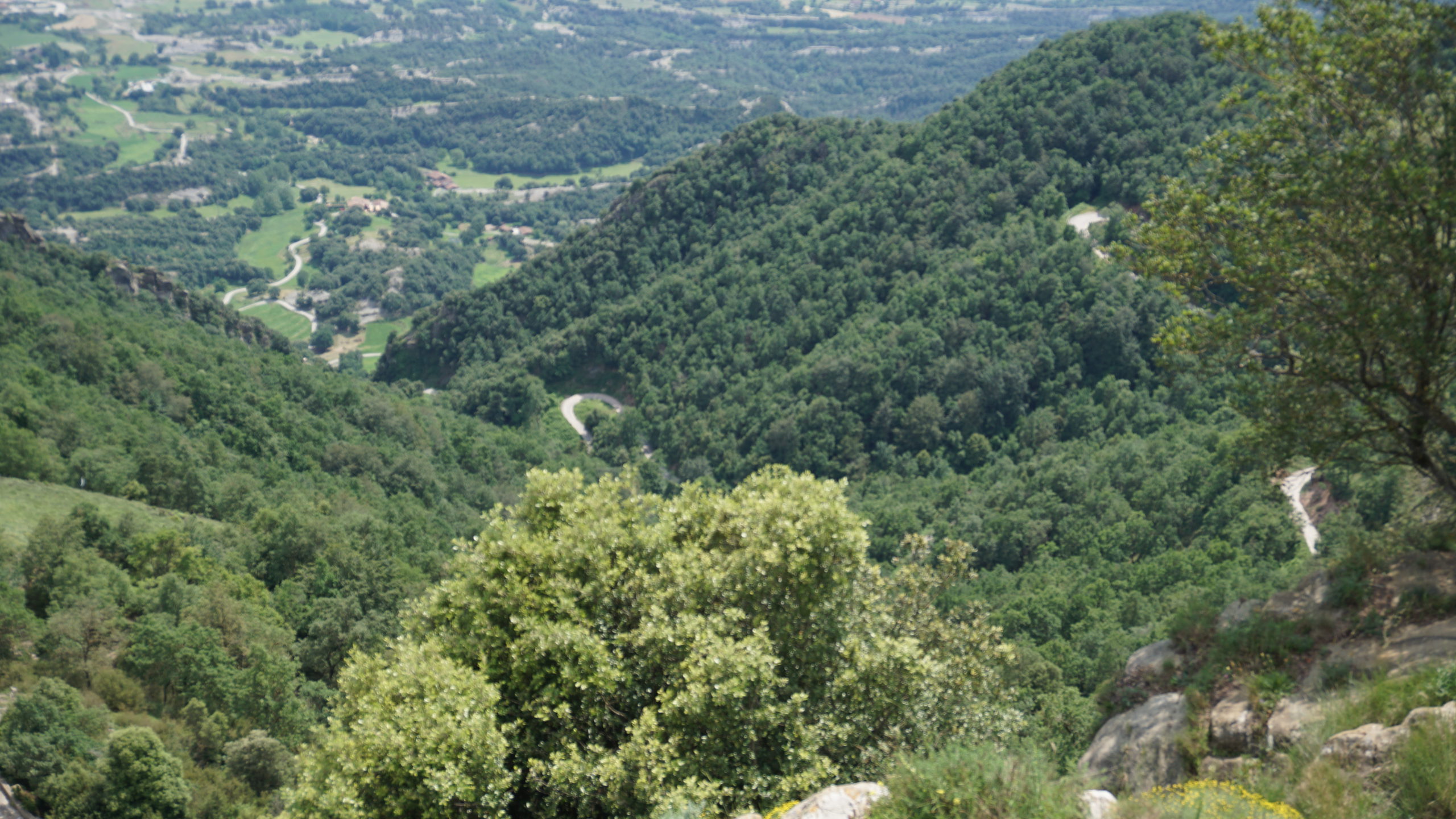 120104f (19) bellmunt
