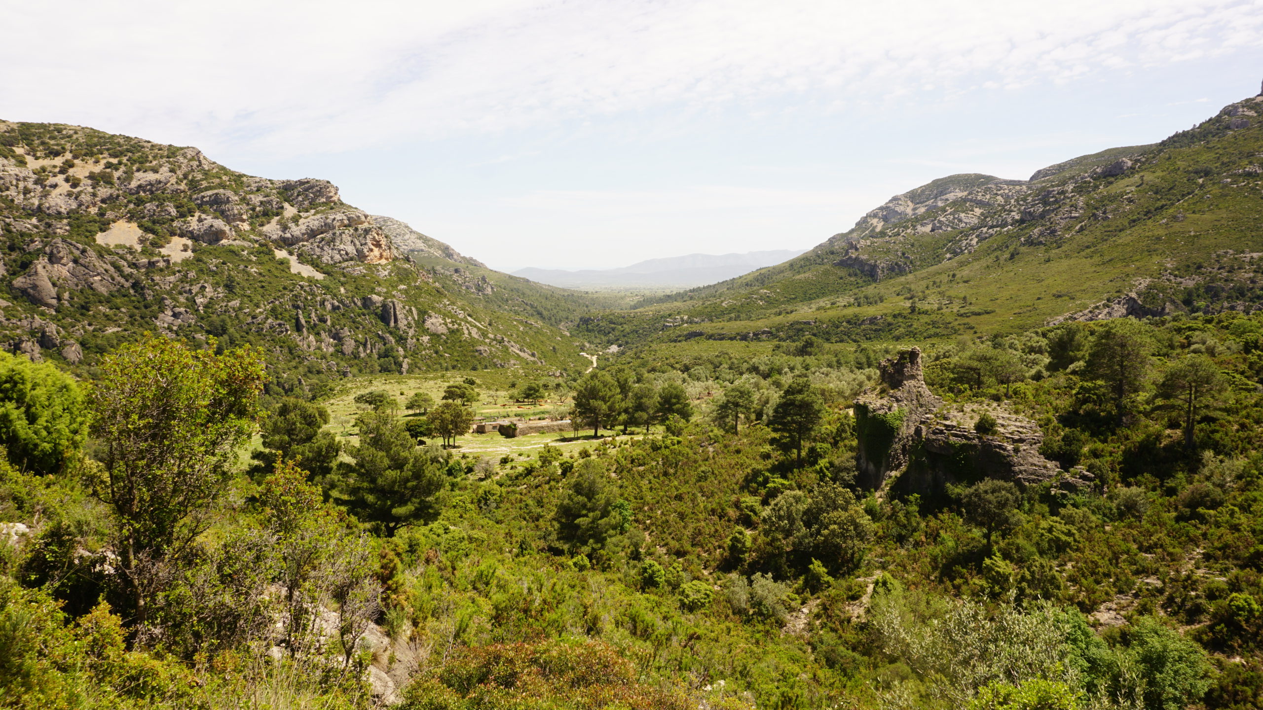 barranc de la galera