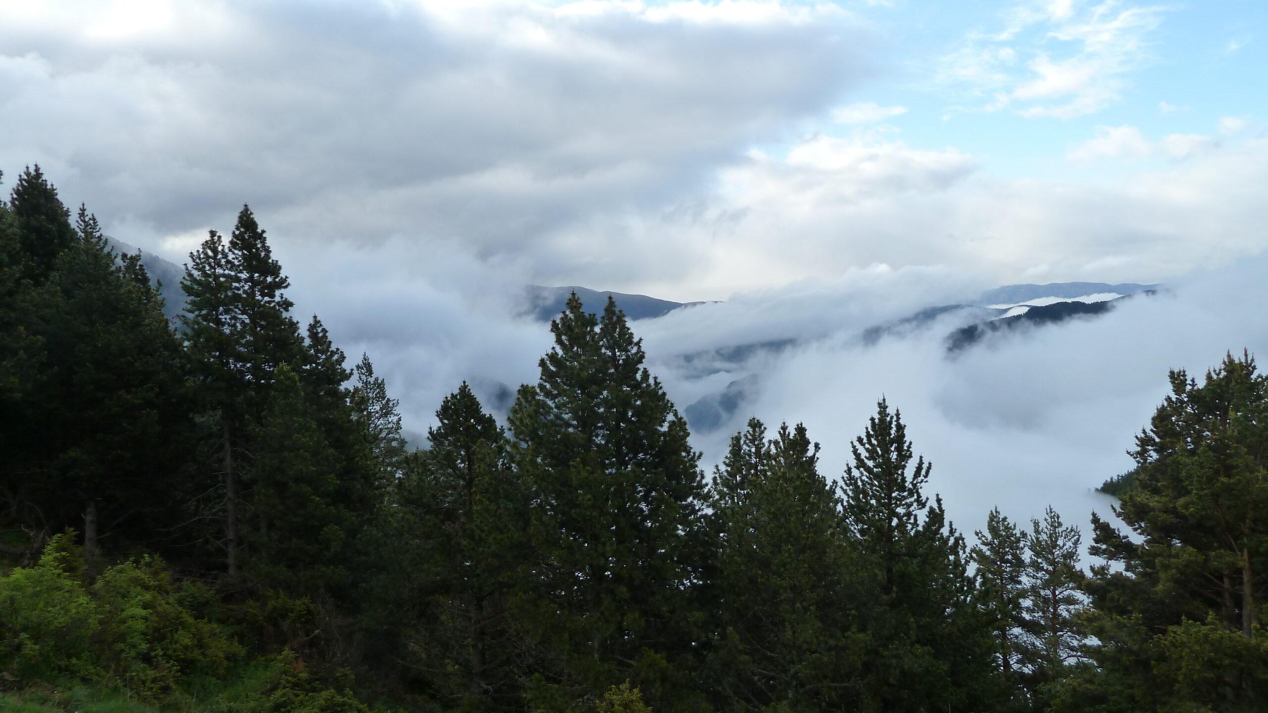 coll de l’obaga a riu d’òs de civís