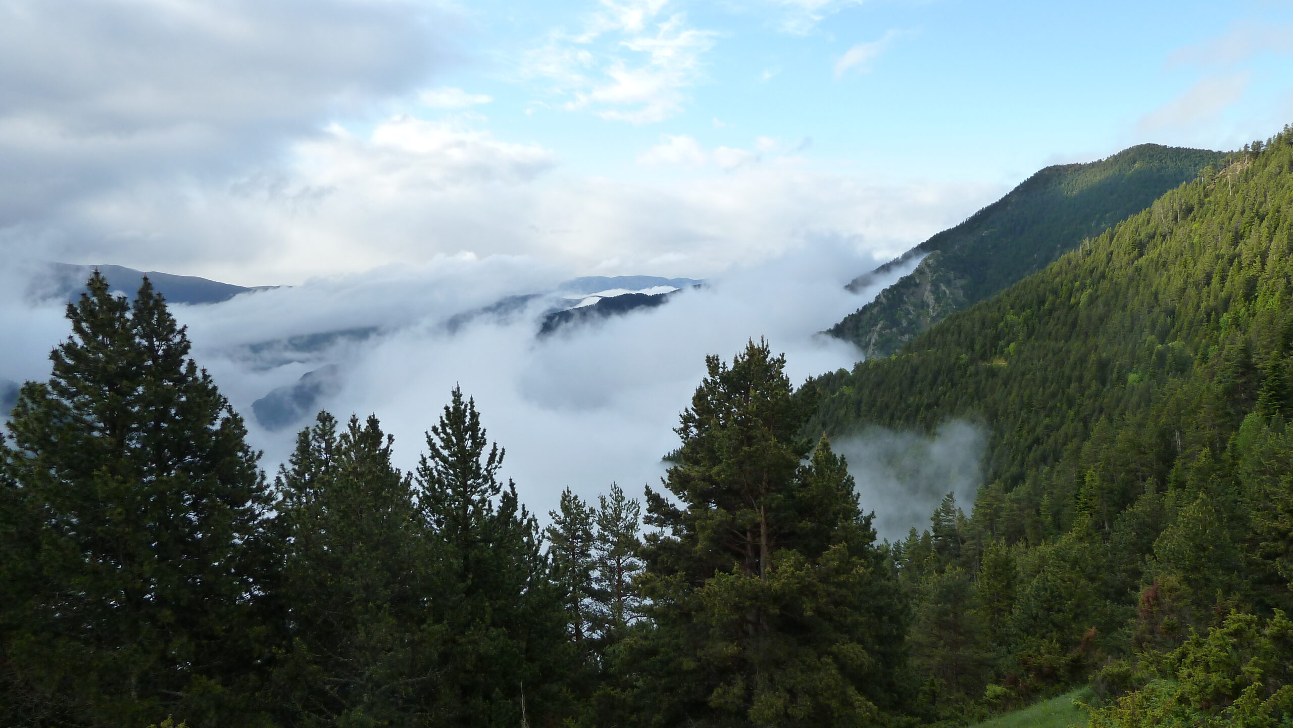 coll de l’obaga a riu d’òs de civís