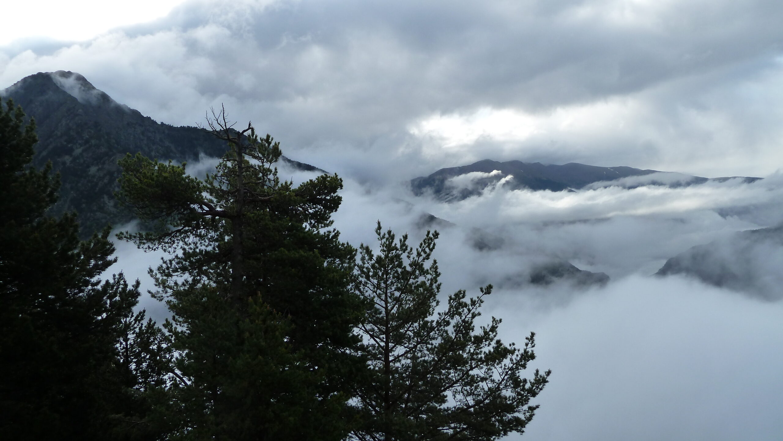 bordes de servetta a bony de trescui