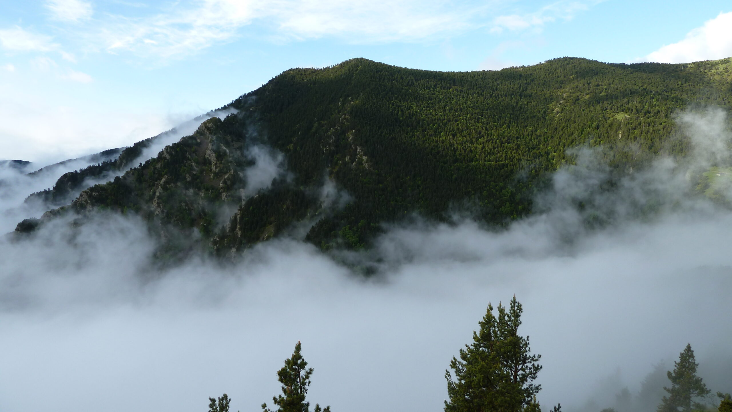 bordes de servetta a bony de trescui