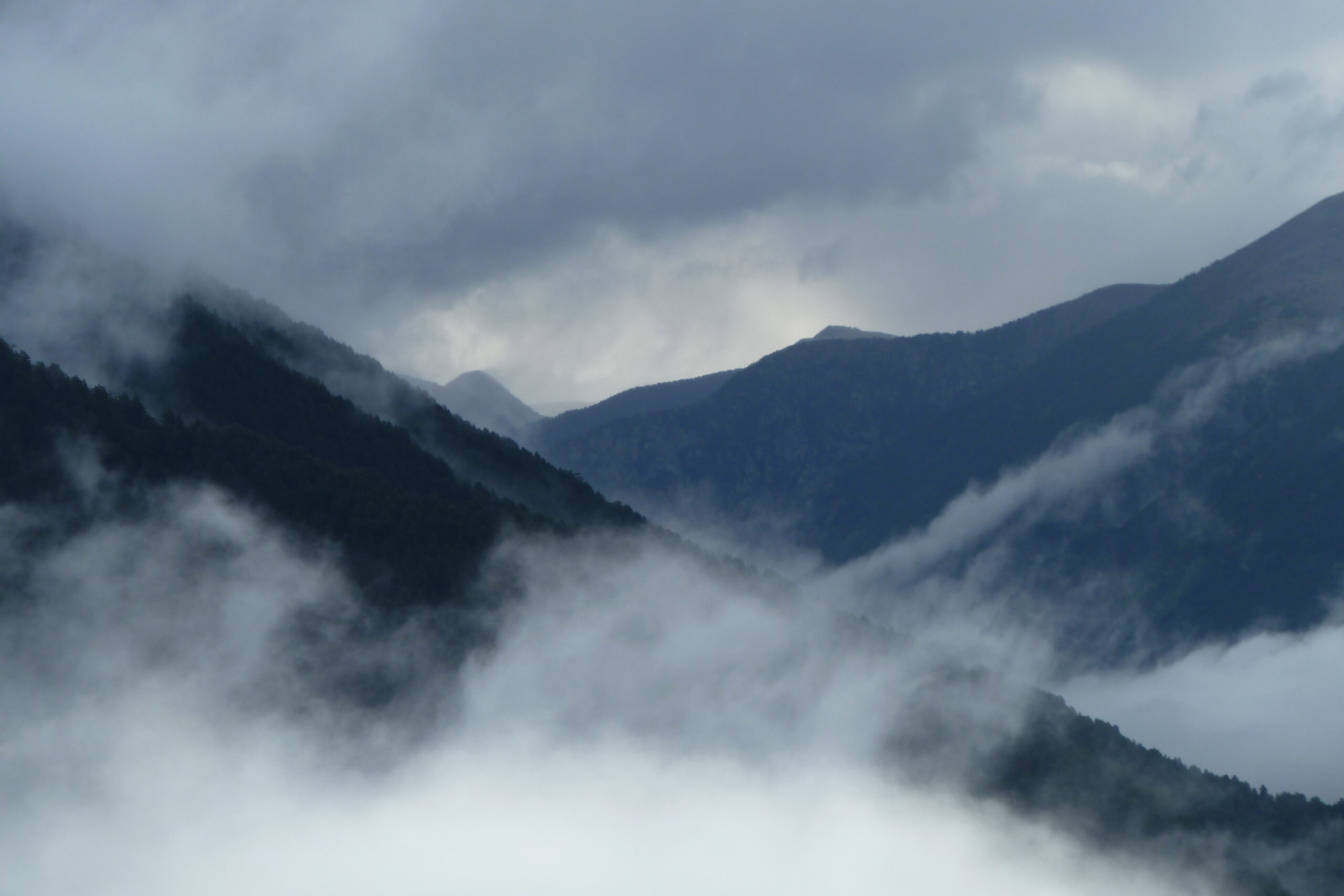 bordes de servetta a bony de trescui
