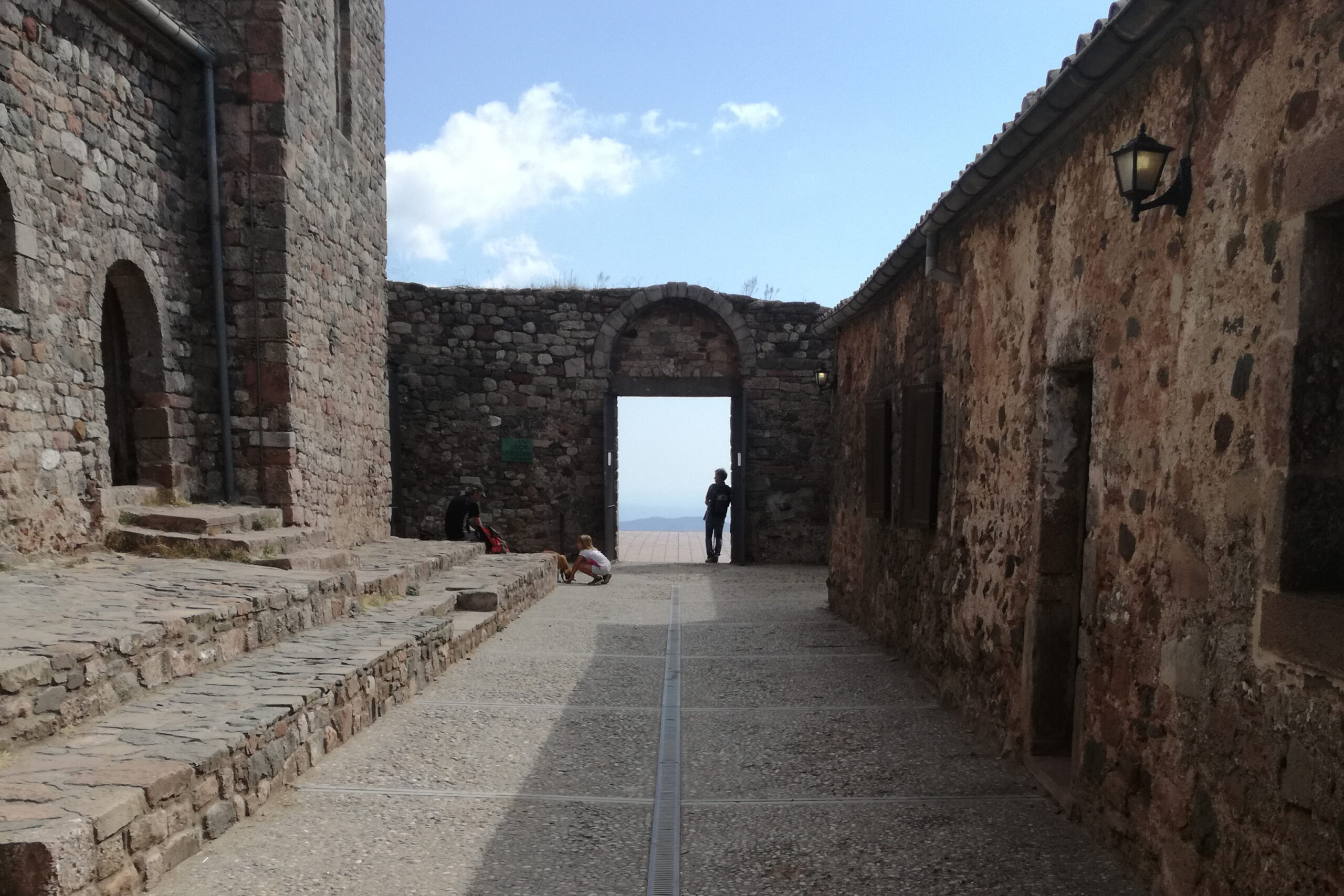 dav la mola dels ases