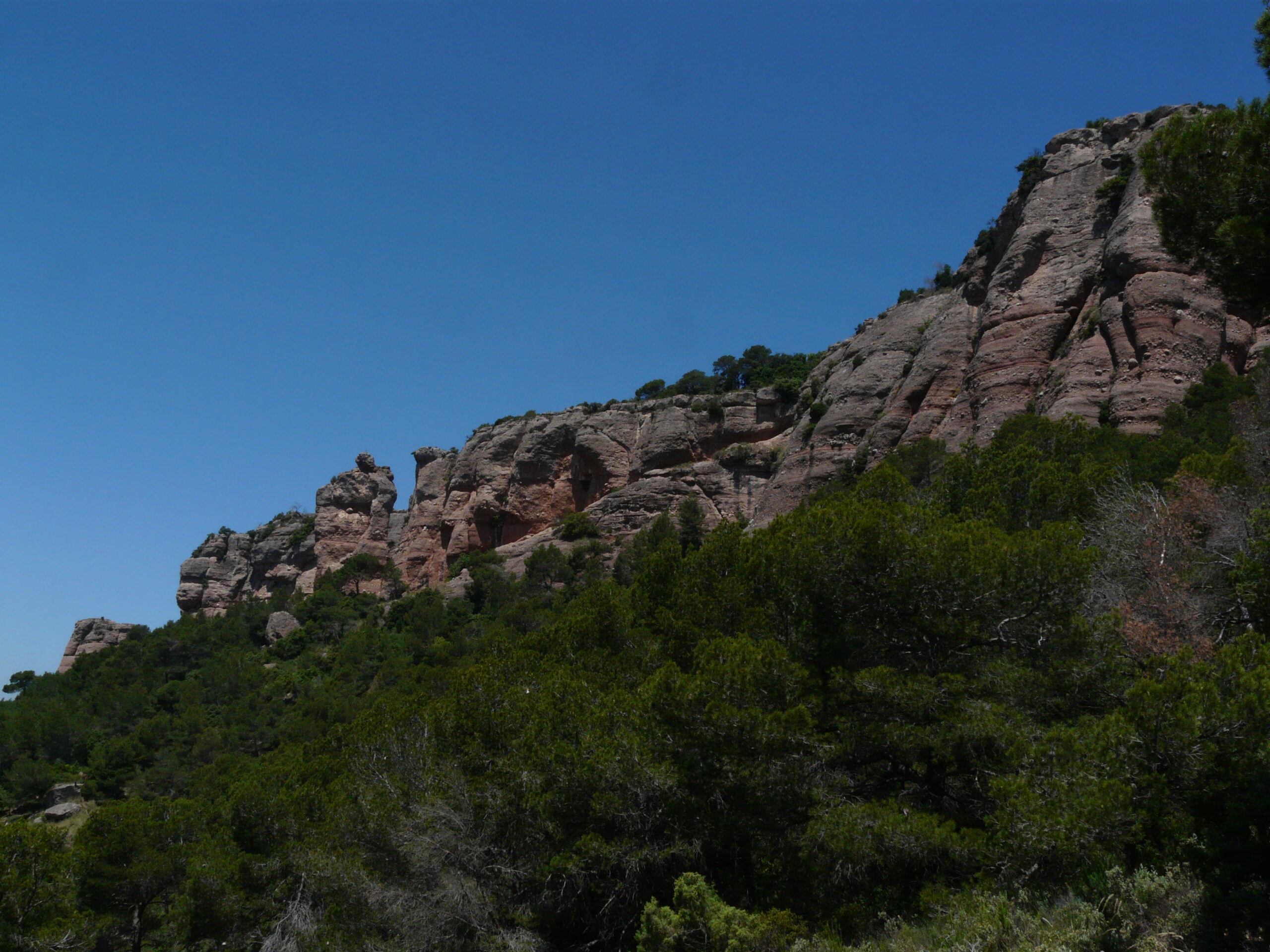 120306f (11) sant llorenç del munt, cavall bernat