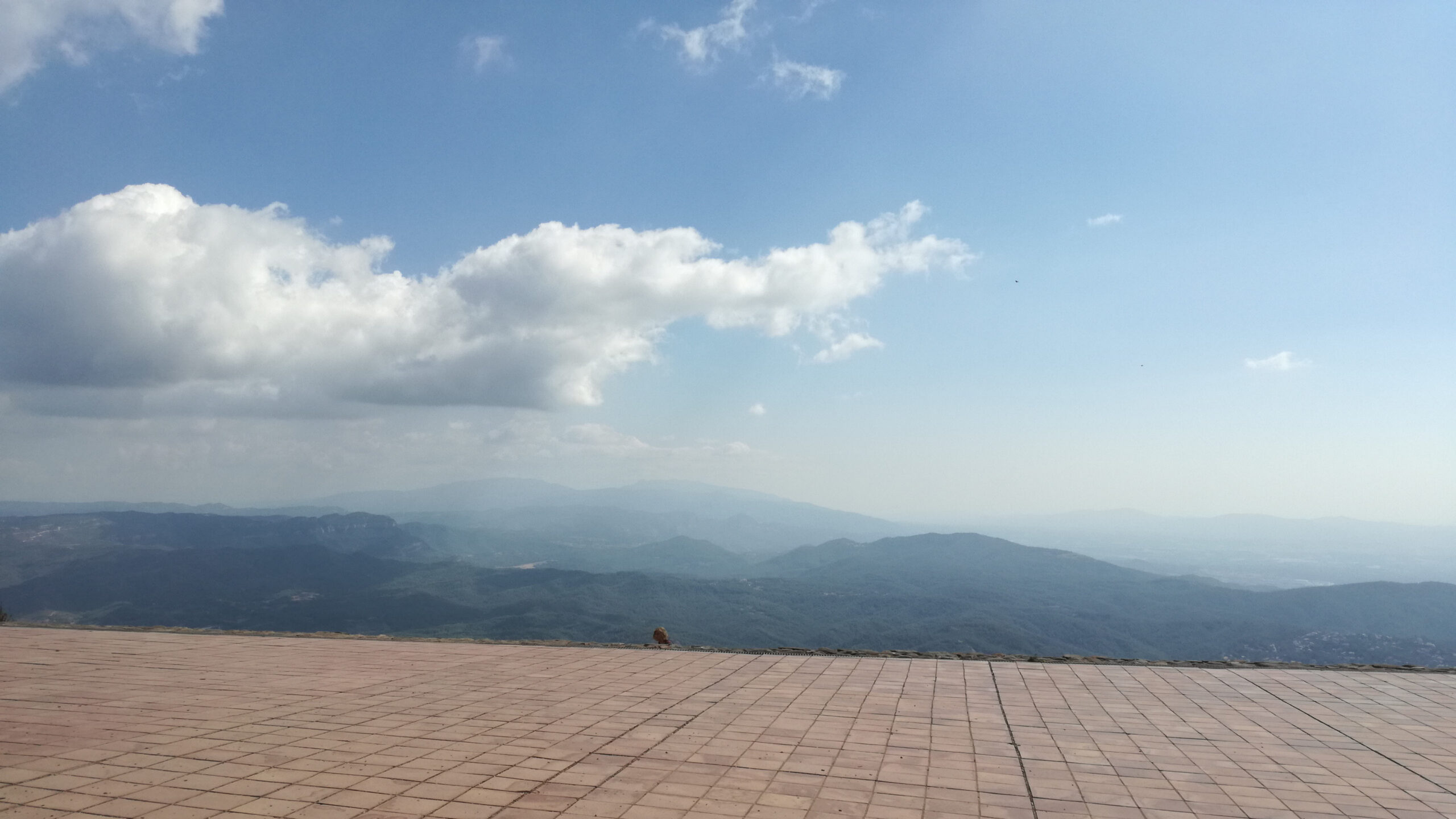 dav la mola dels ases