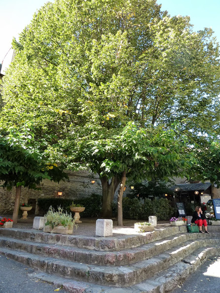 vilafranca de conflent