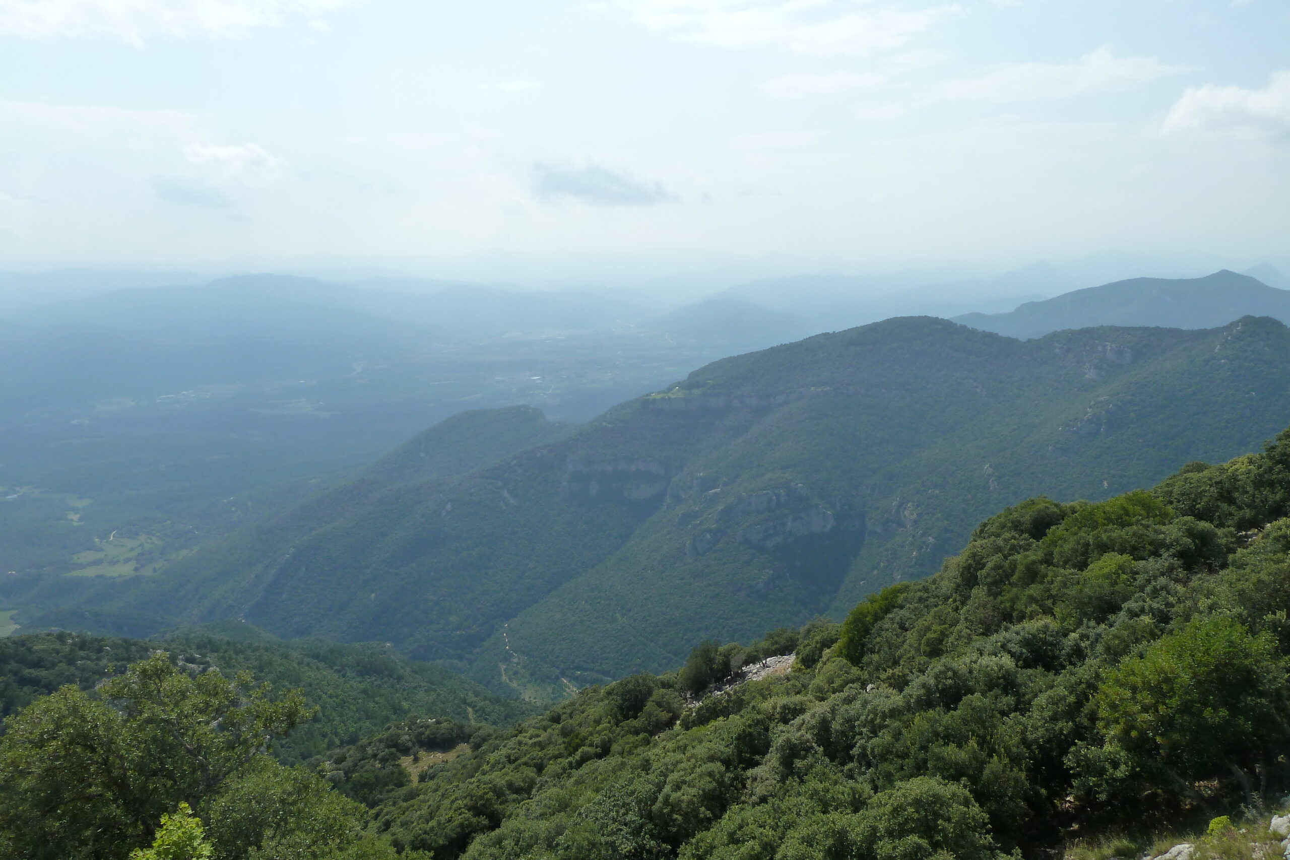 mare de déu del mont