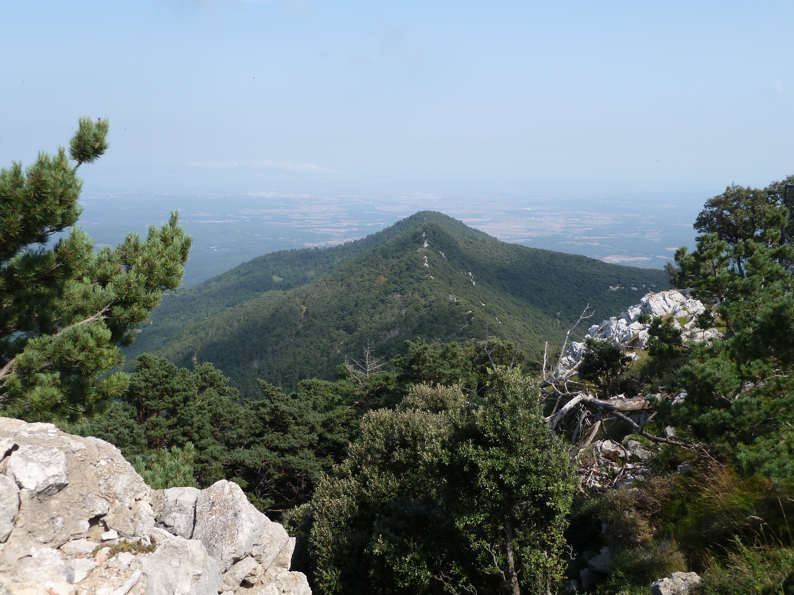 mare de déu del mont