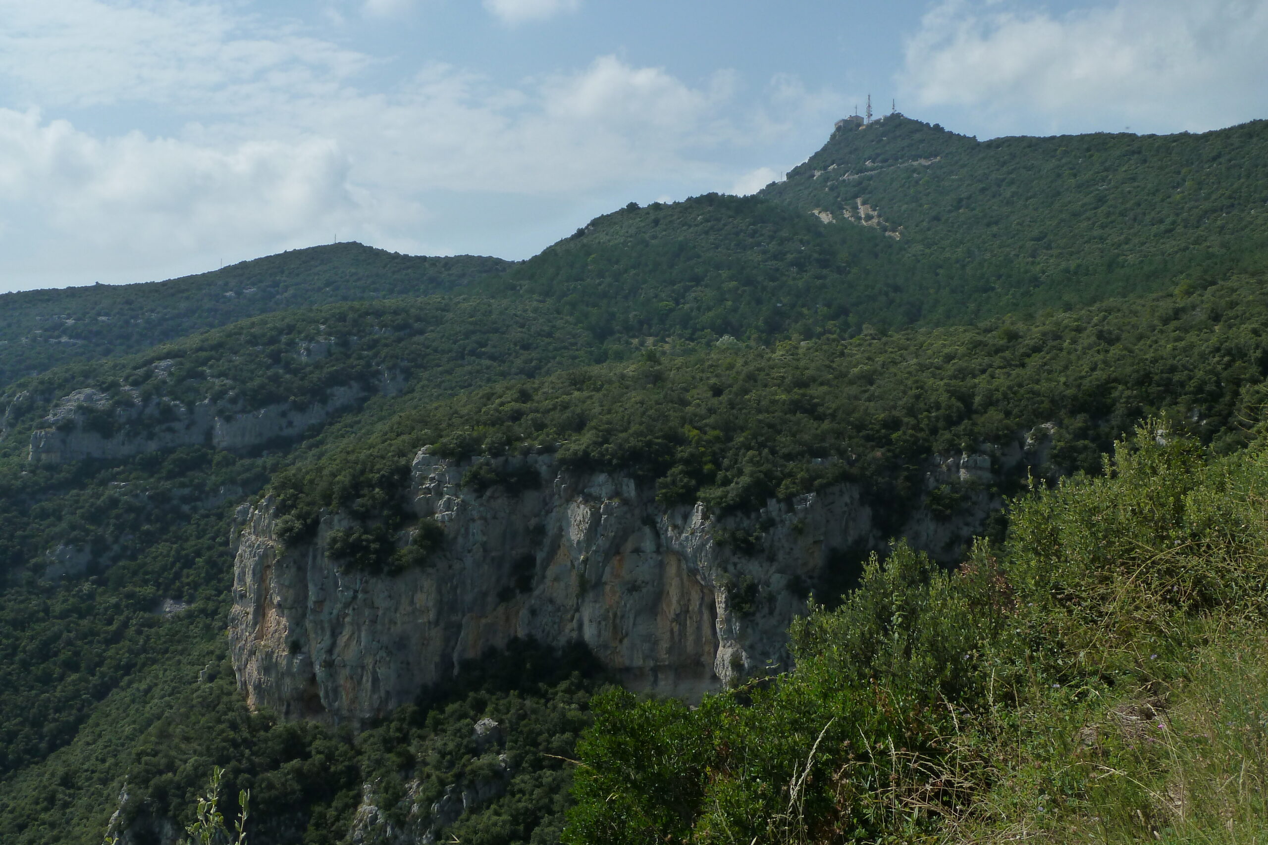 mare de déu del mont