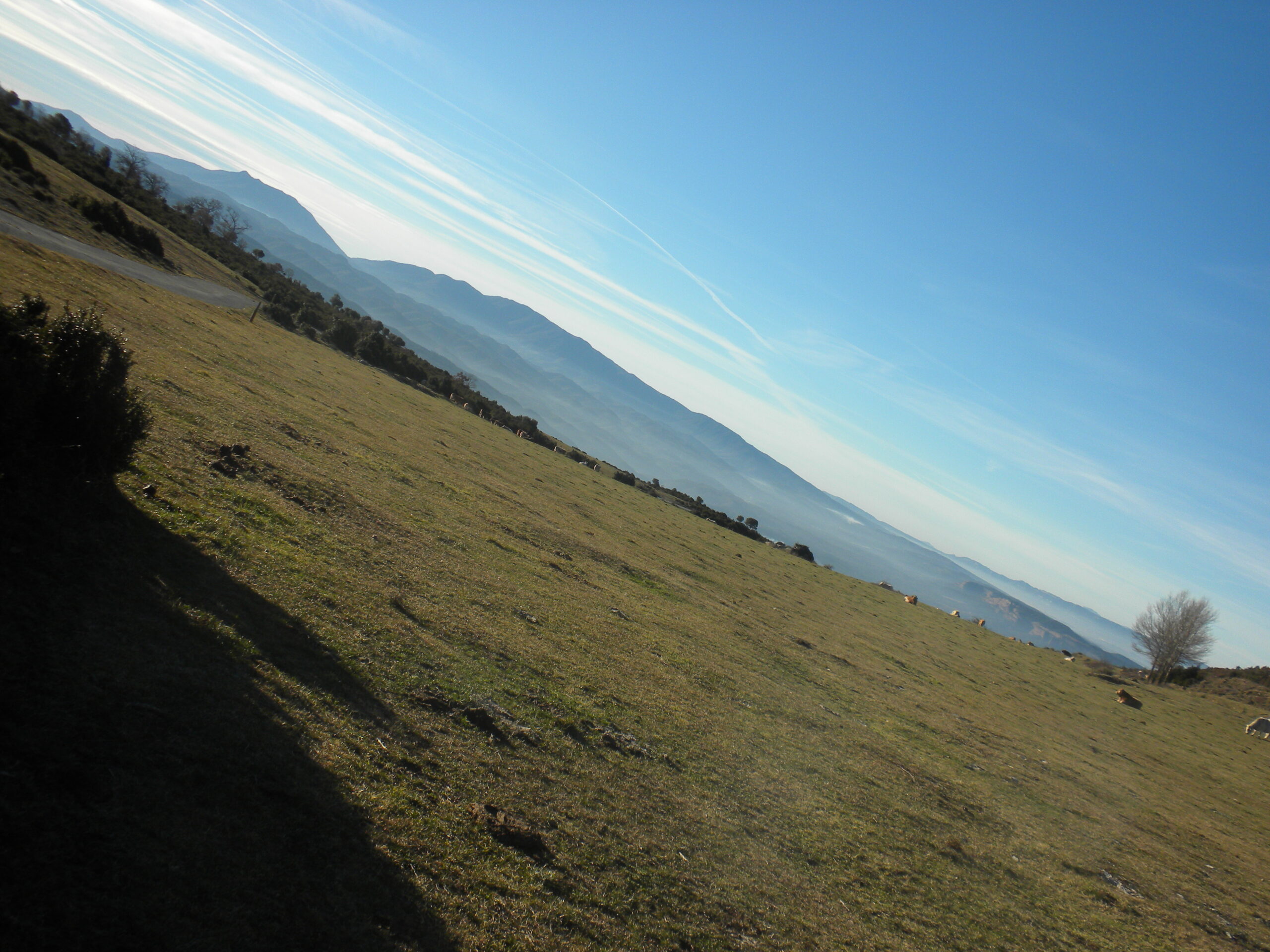 tavertet, pla boixer