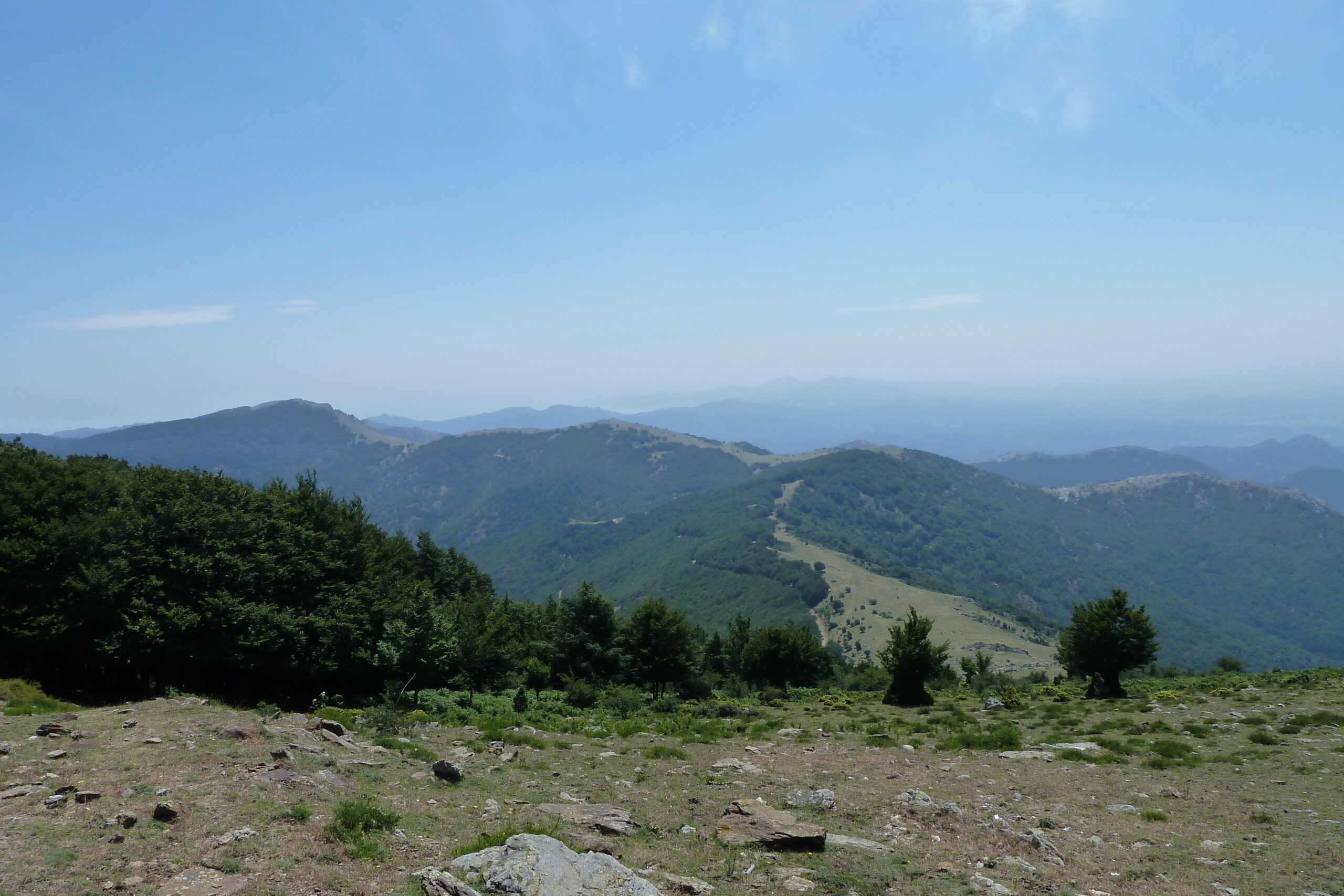 puig neulós i carena de l’albera, puigs del fum, pradets i sallfort