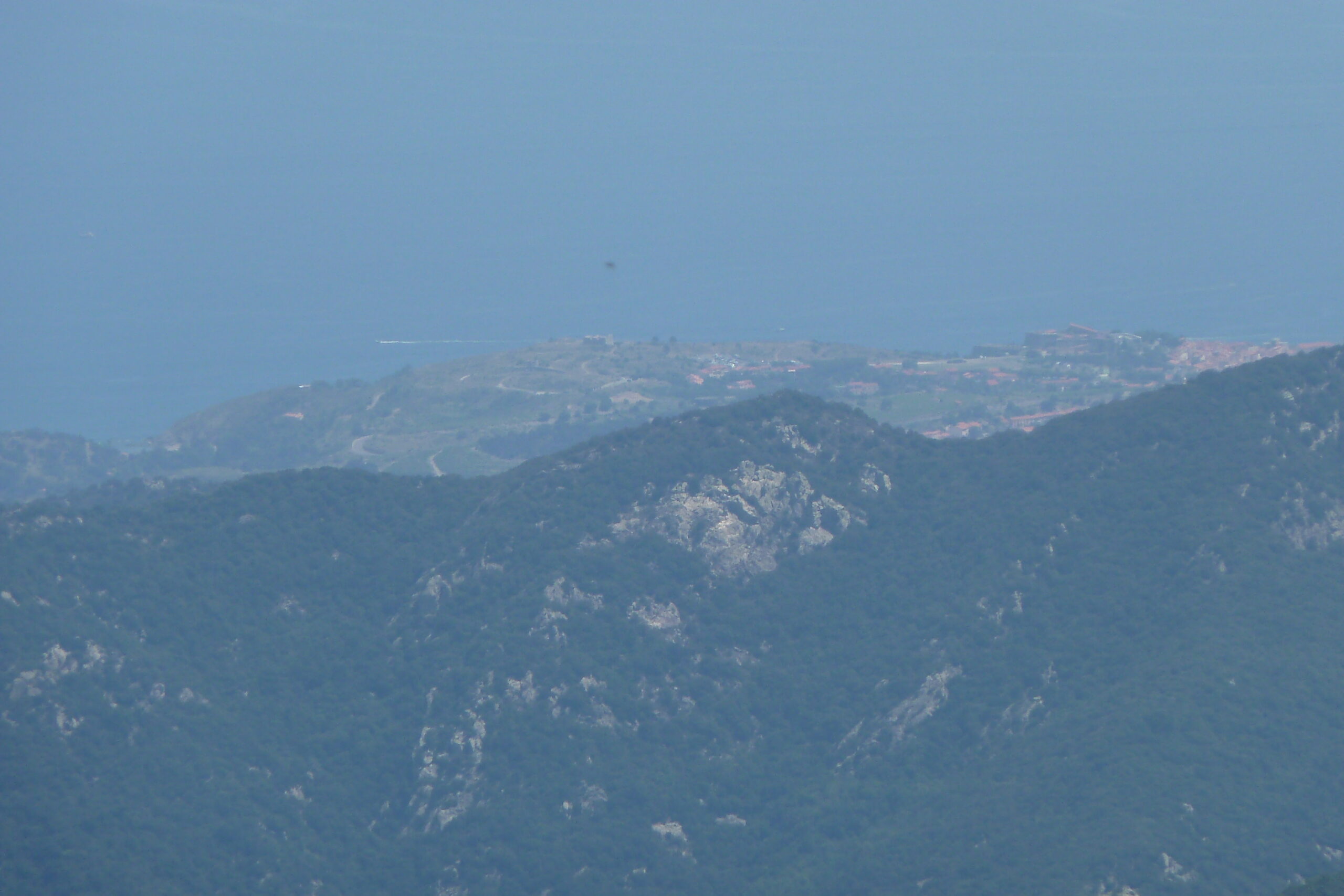 puig neulós a cotlliure