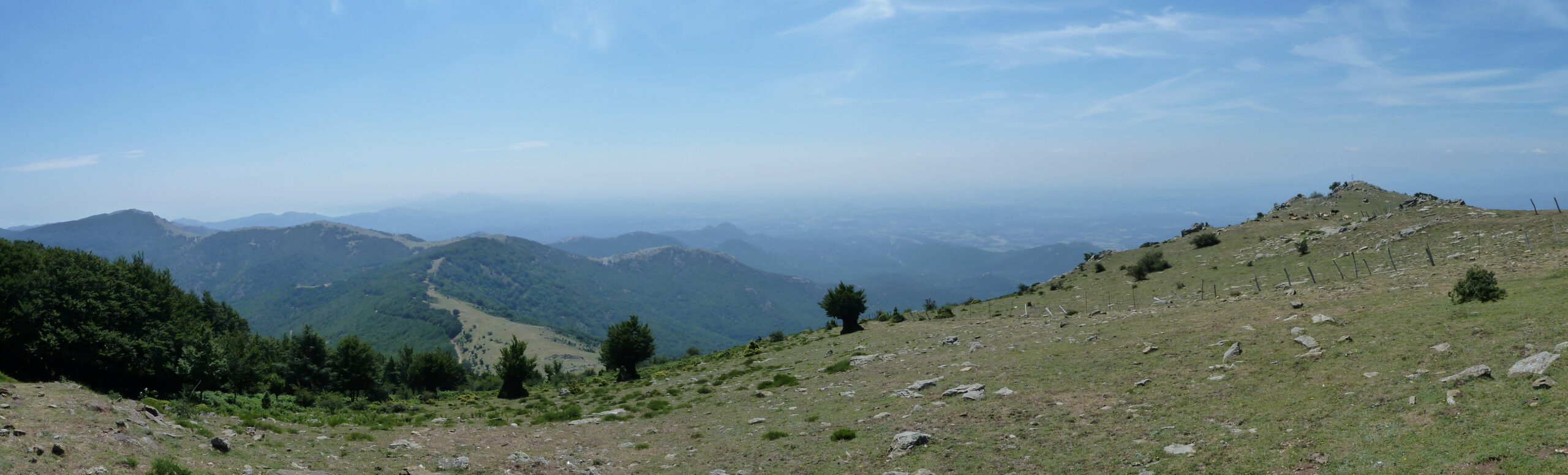 puig neulós a l’empordà