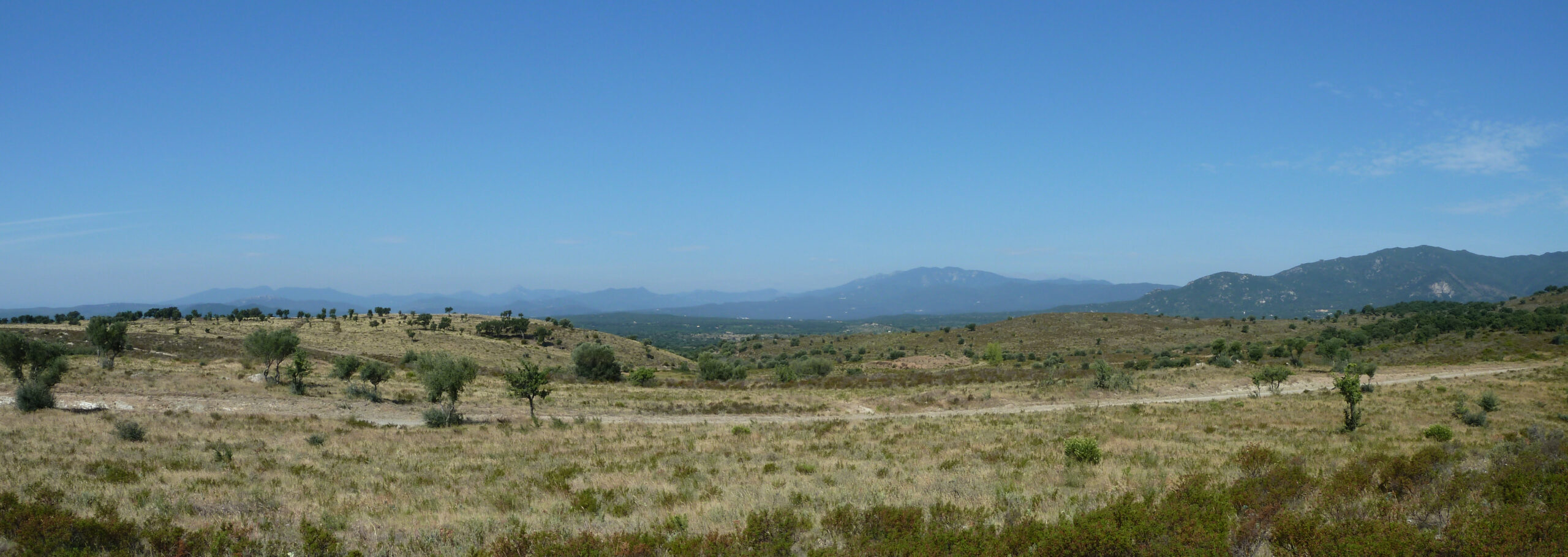 camí de vilartoll al castell de recassens