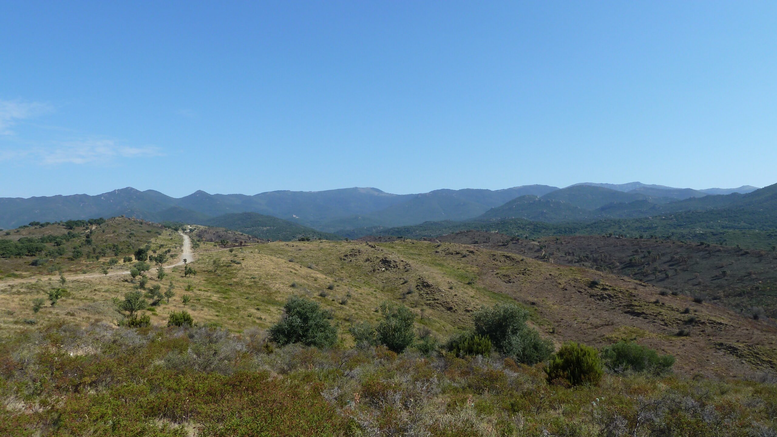 camí de vilartoll al castell de recassens