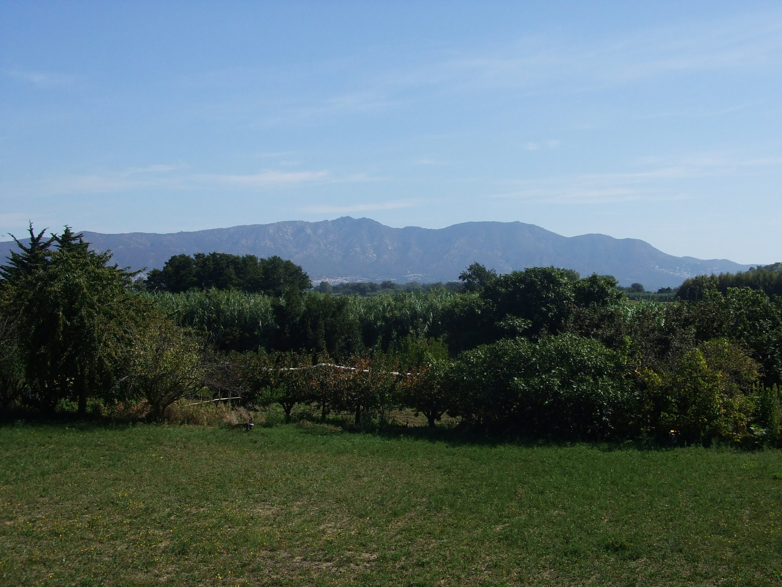 castelló d'empúries