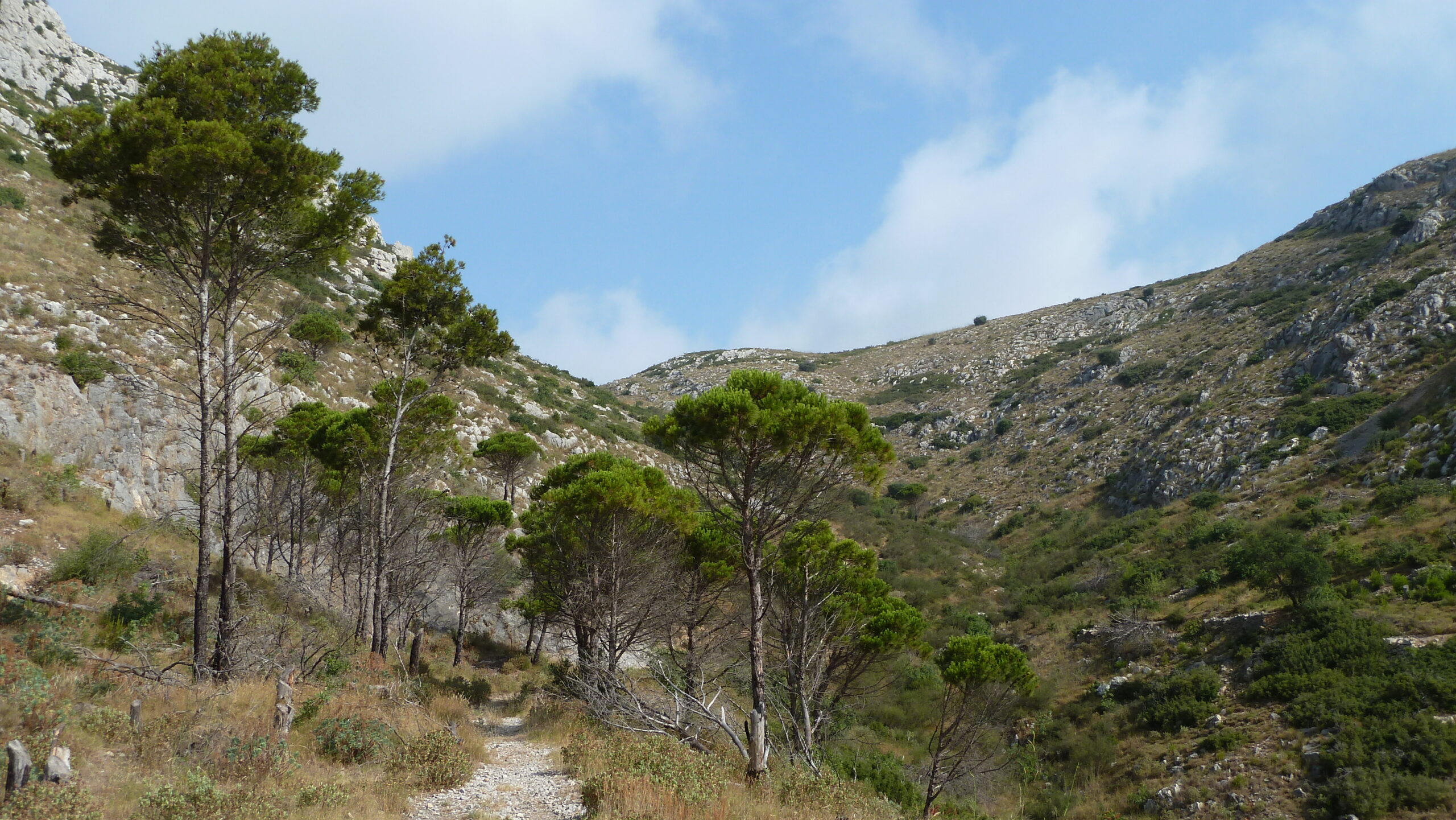 massís del montgrí, pel coll d'en garrigar