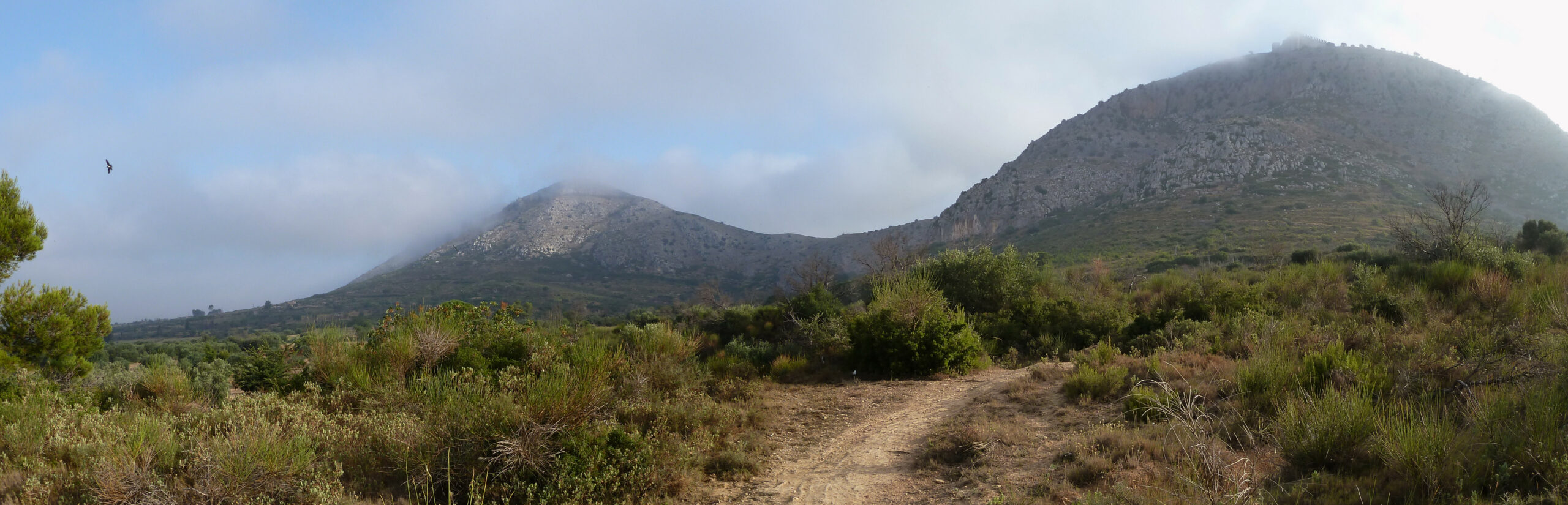 massís del montgrí, pel sud