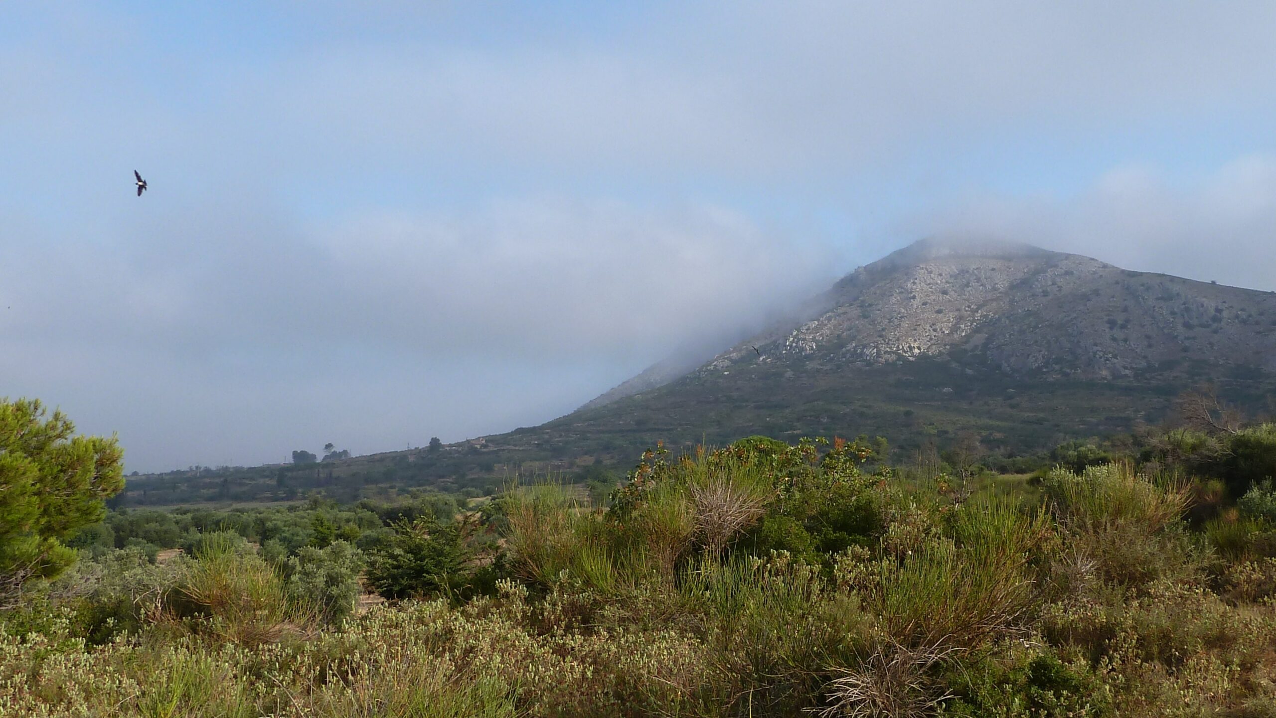 massís del montgrí, pel sud