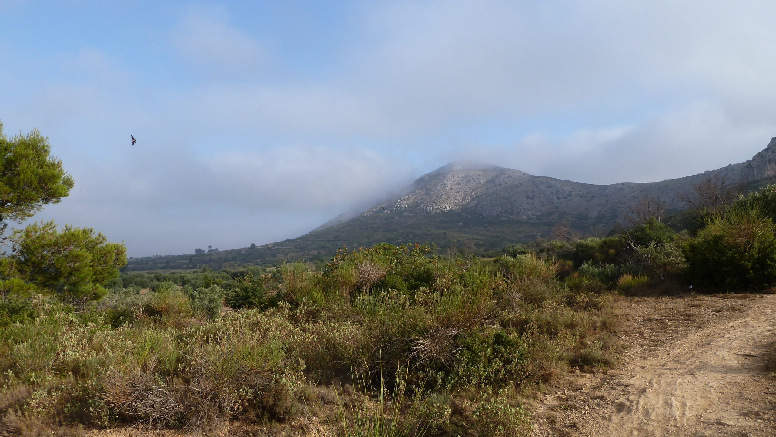 massís del montgrí, pel sud