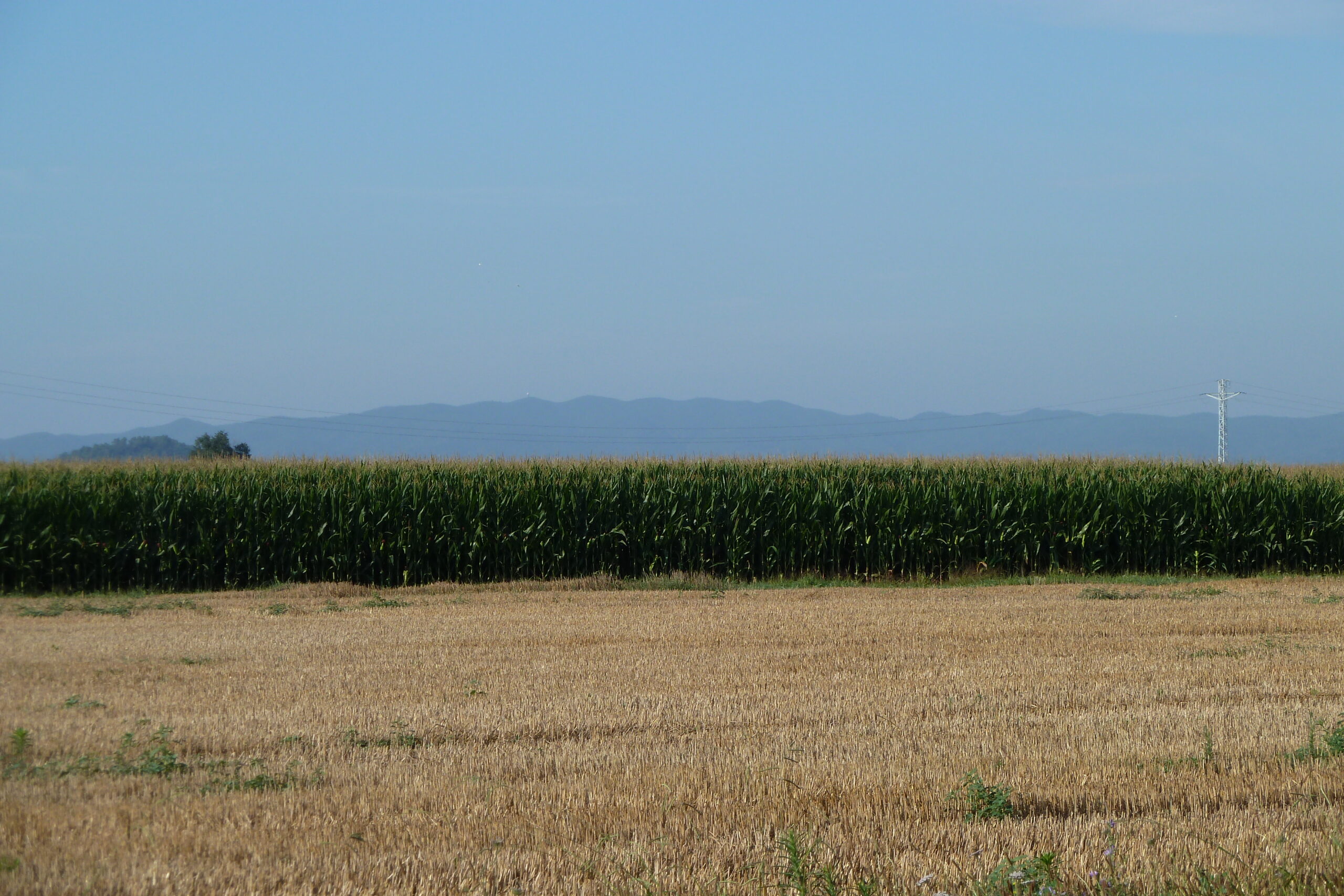 sant iscle d'empordà,