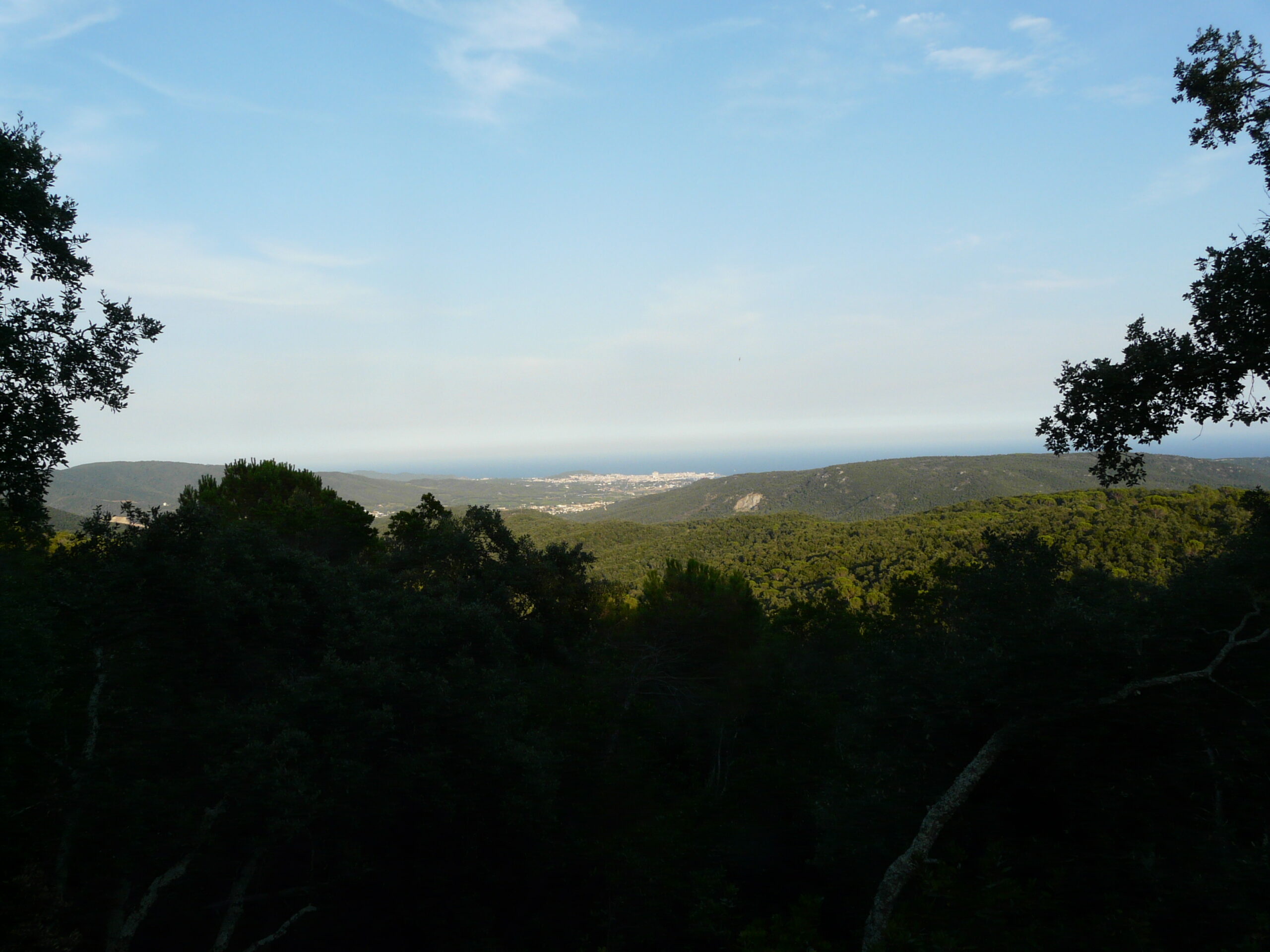 les gavarres, puig d'arques
