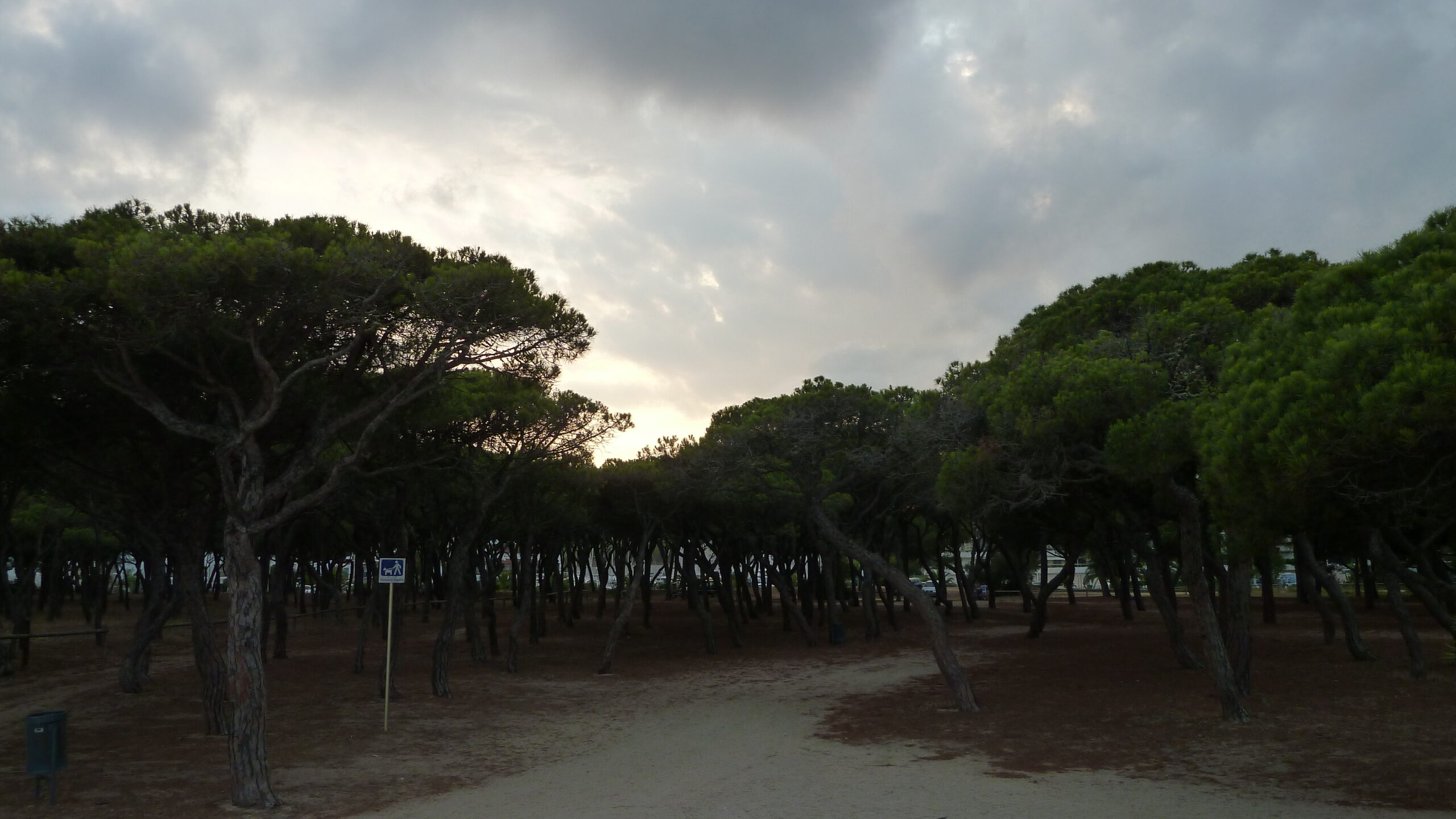 platja d'aro