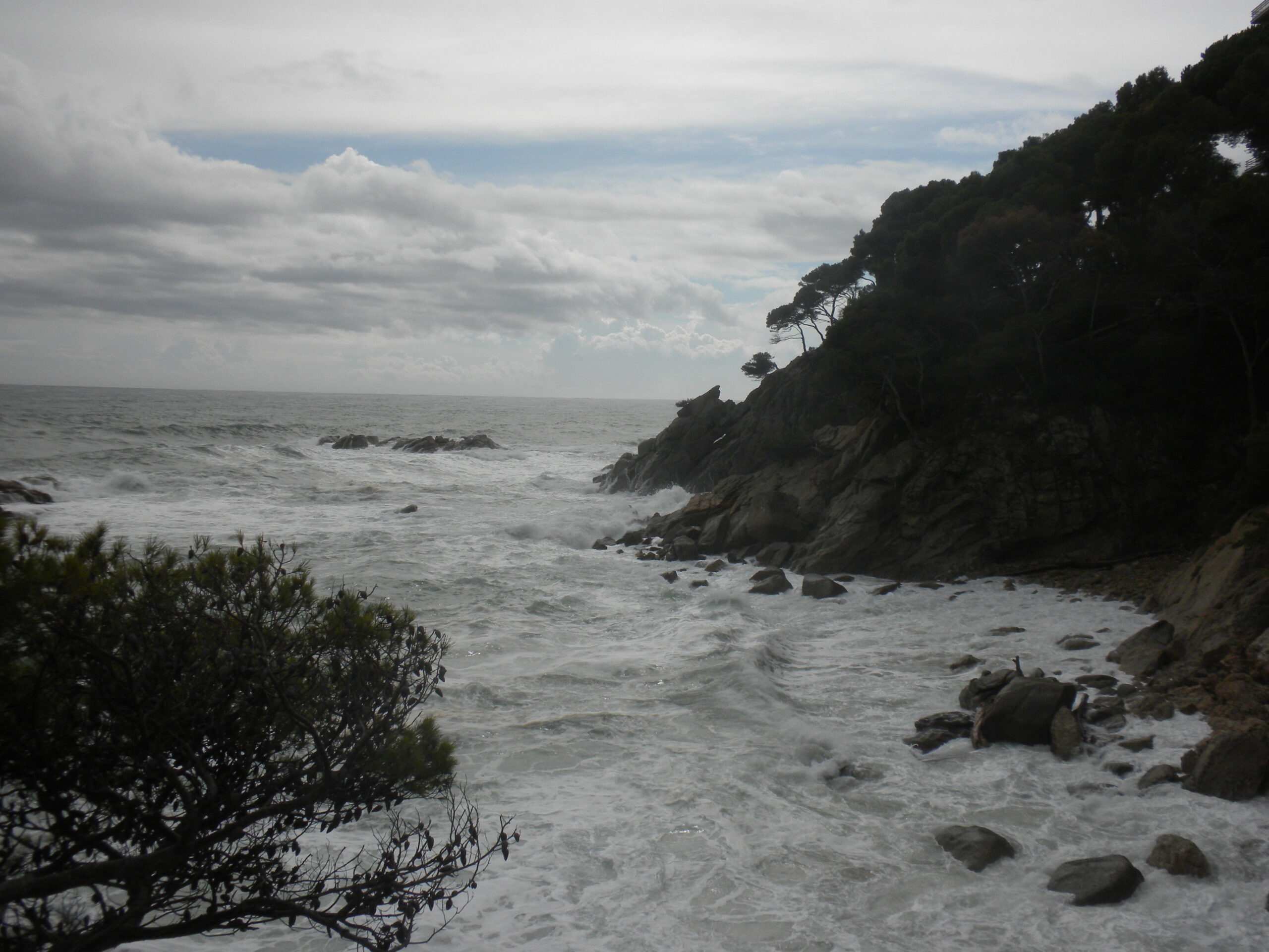 sant antoni de calonge