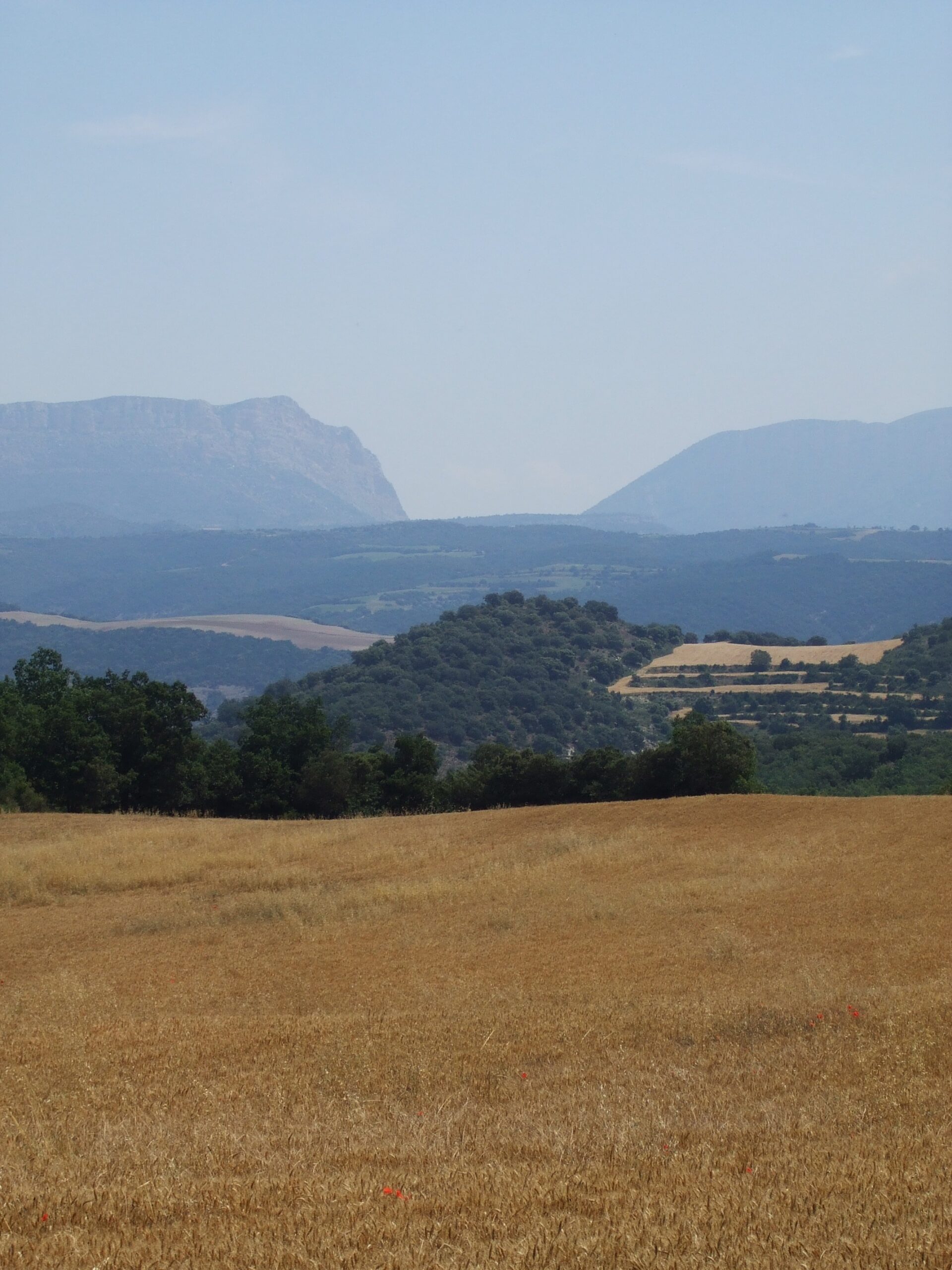l'estall al congost de terradets