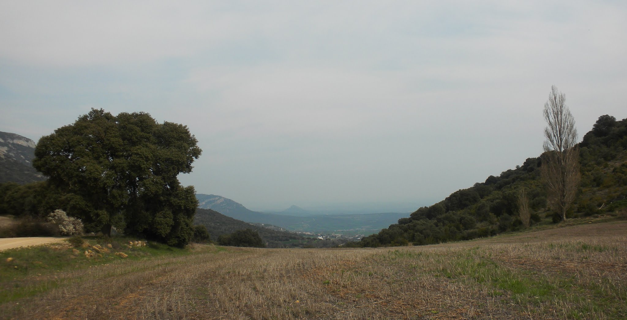 Altiplà de Rúbies a la Conca de Meià