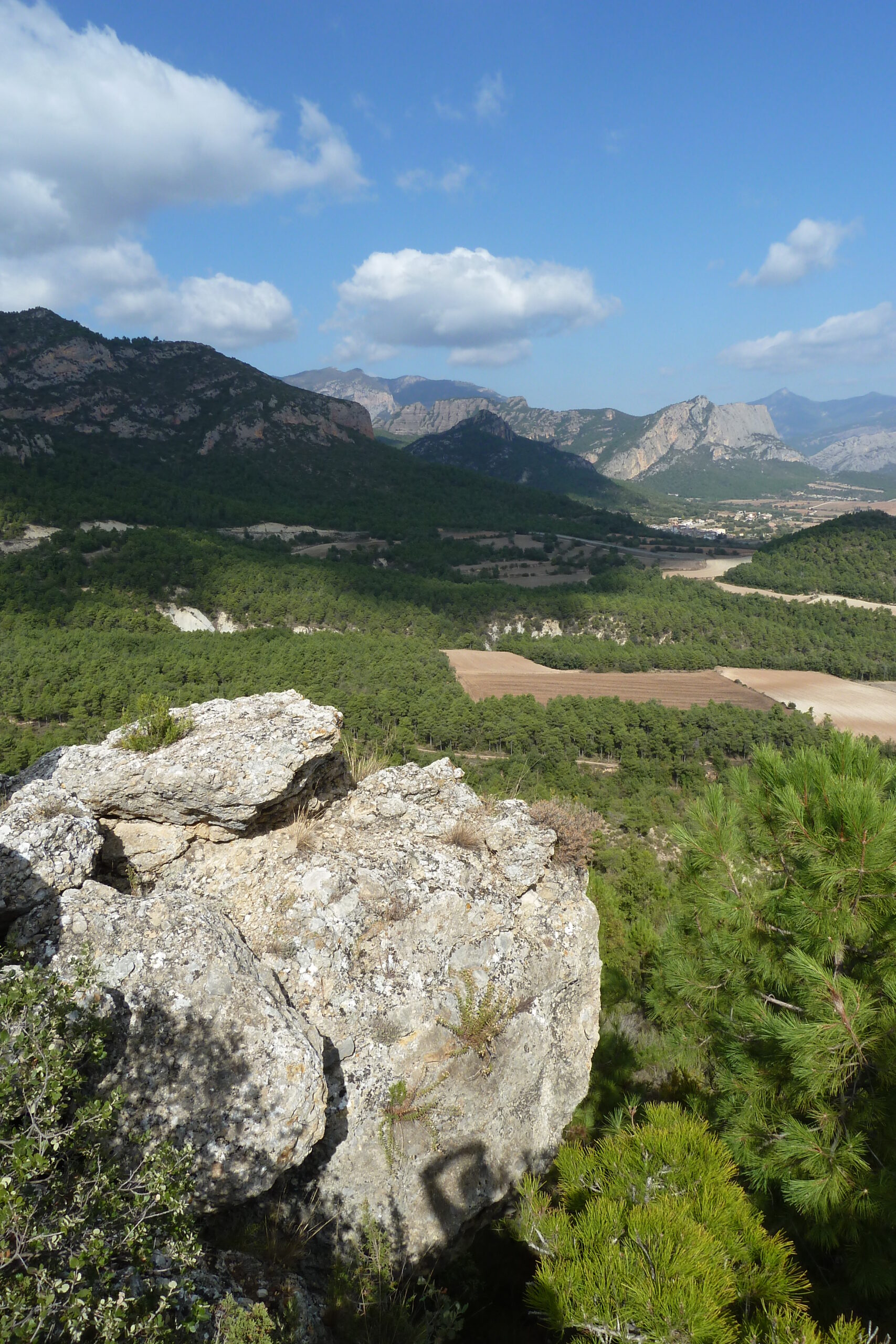 sant honorat i l’aubenç