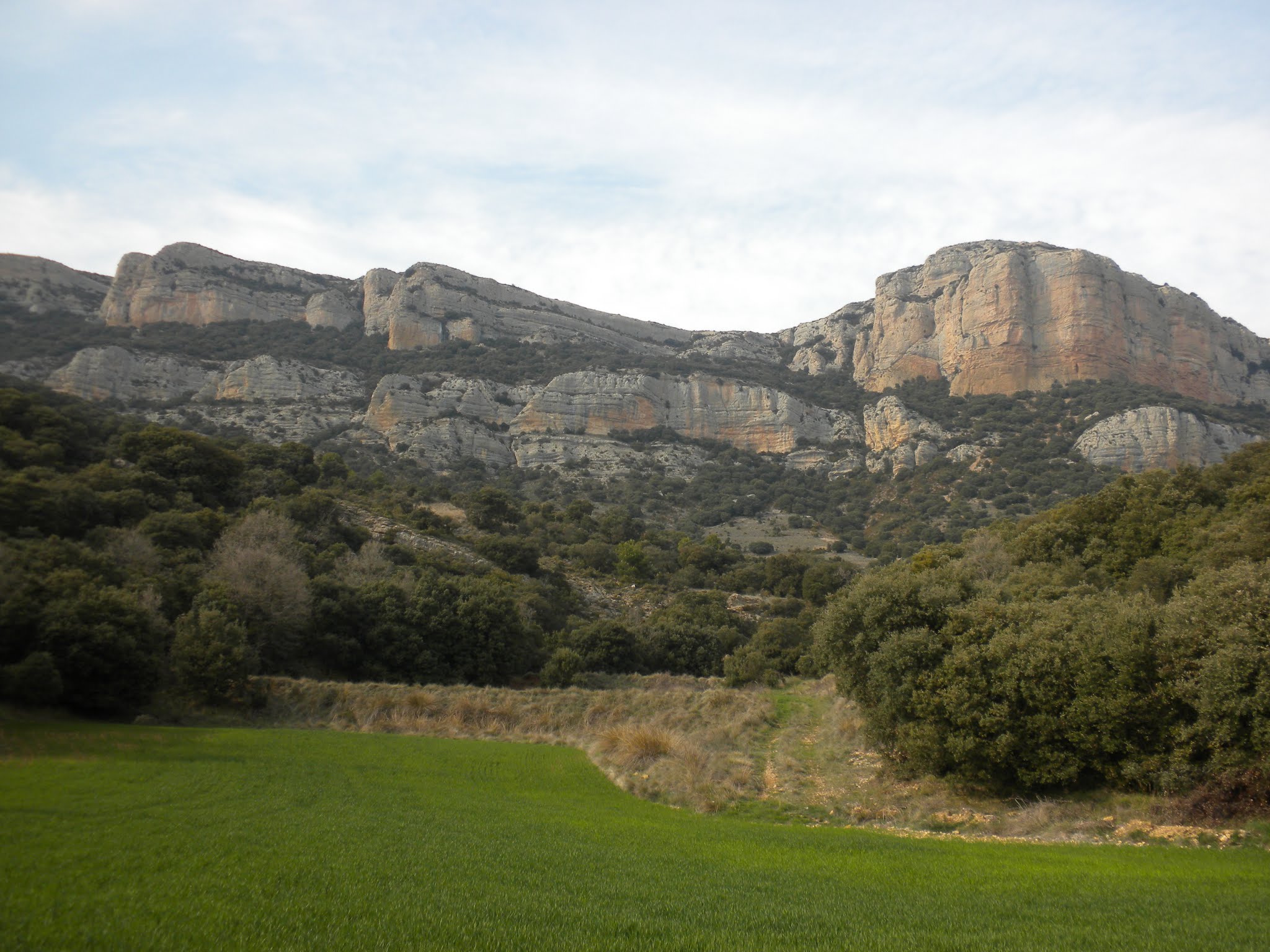 Altiplà de Rúbies a Puig del Camí Ramader