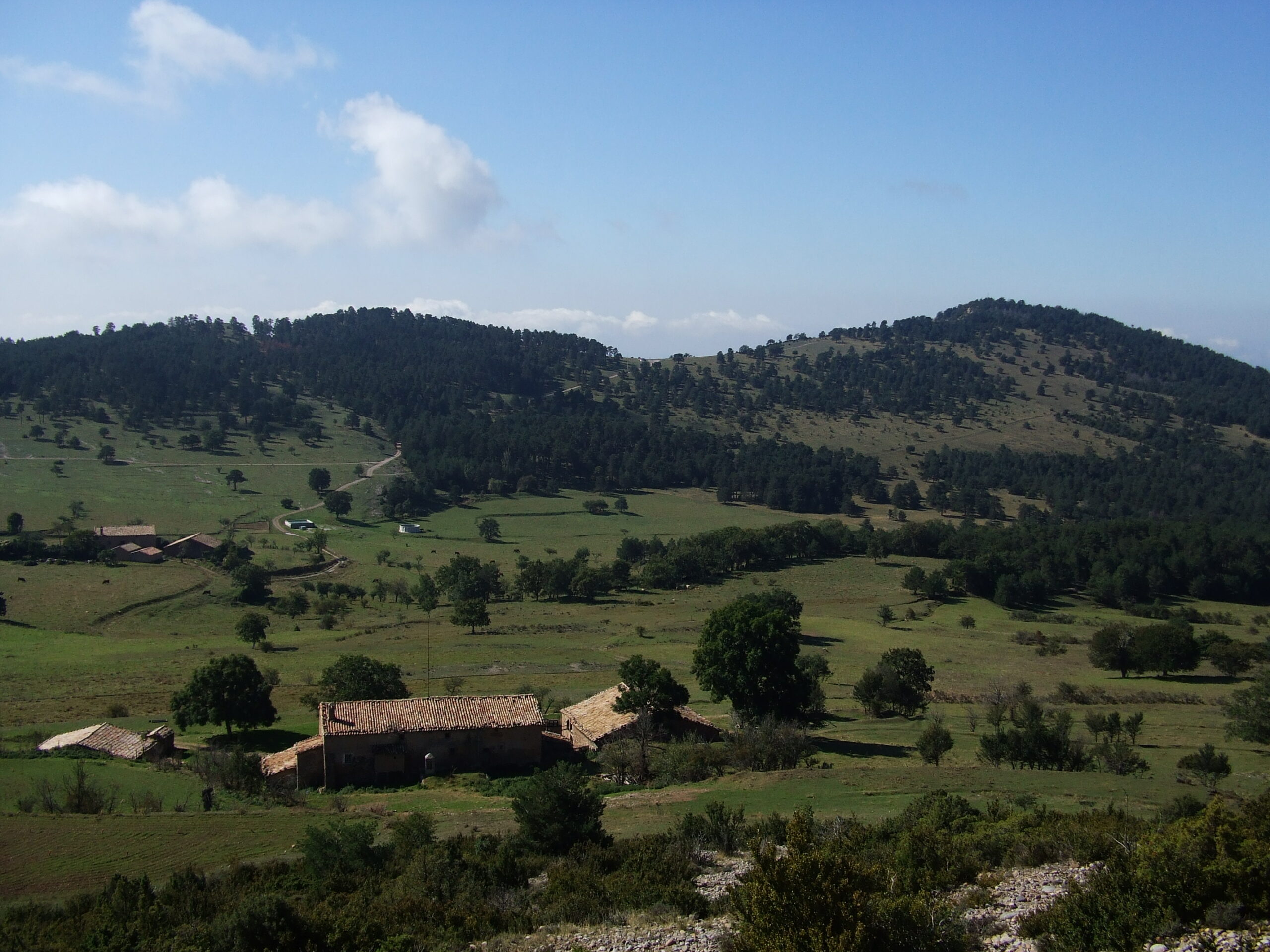 serra de busa