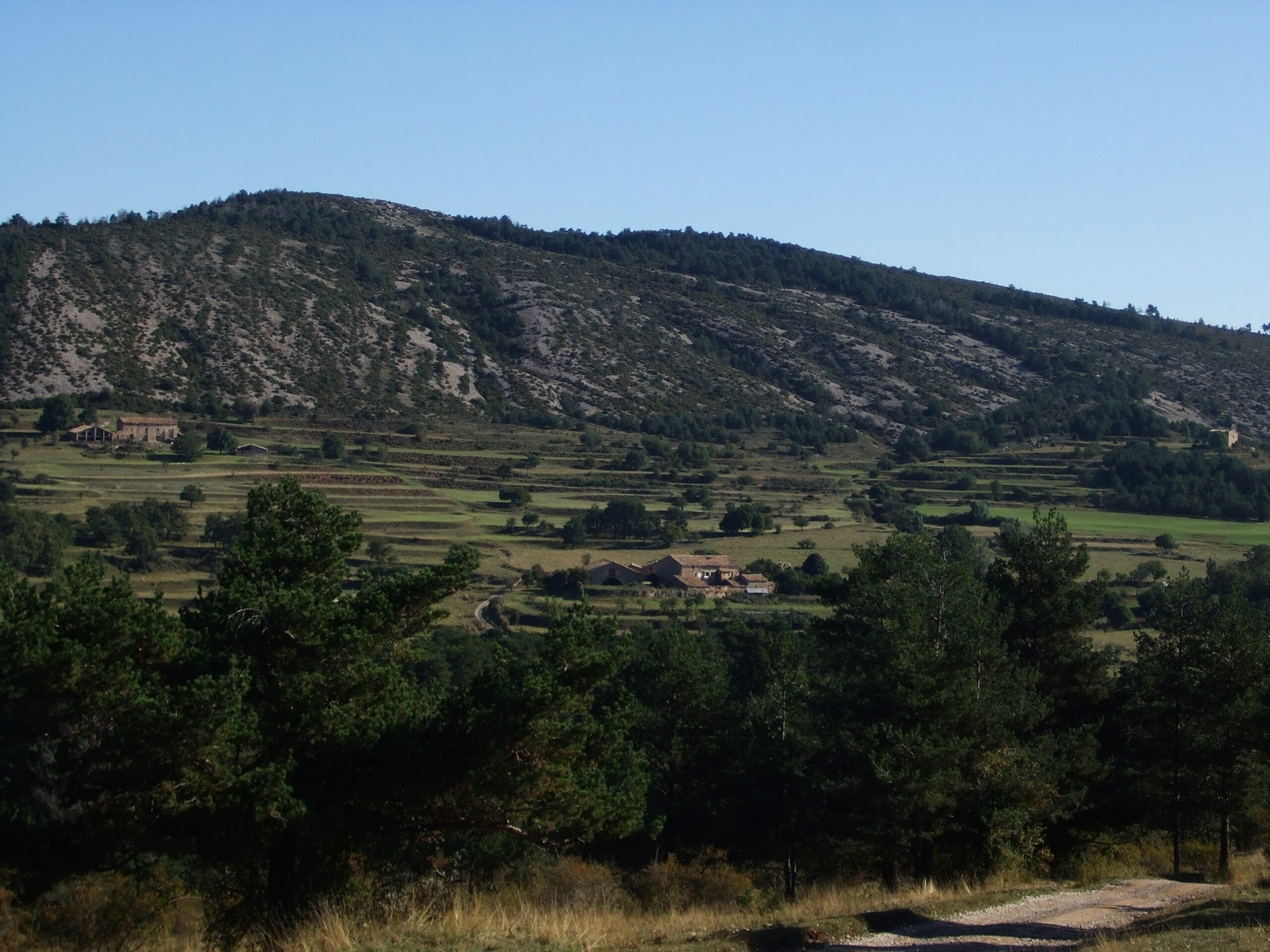 serra de busa