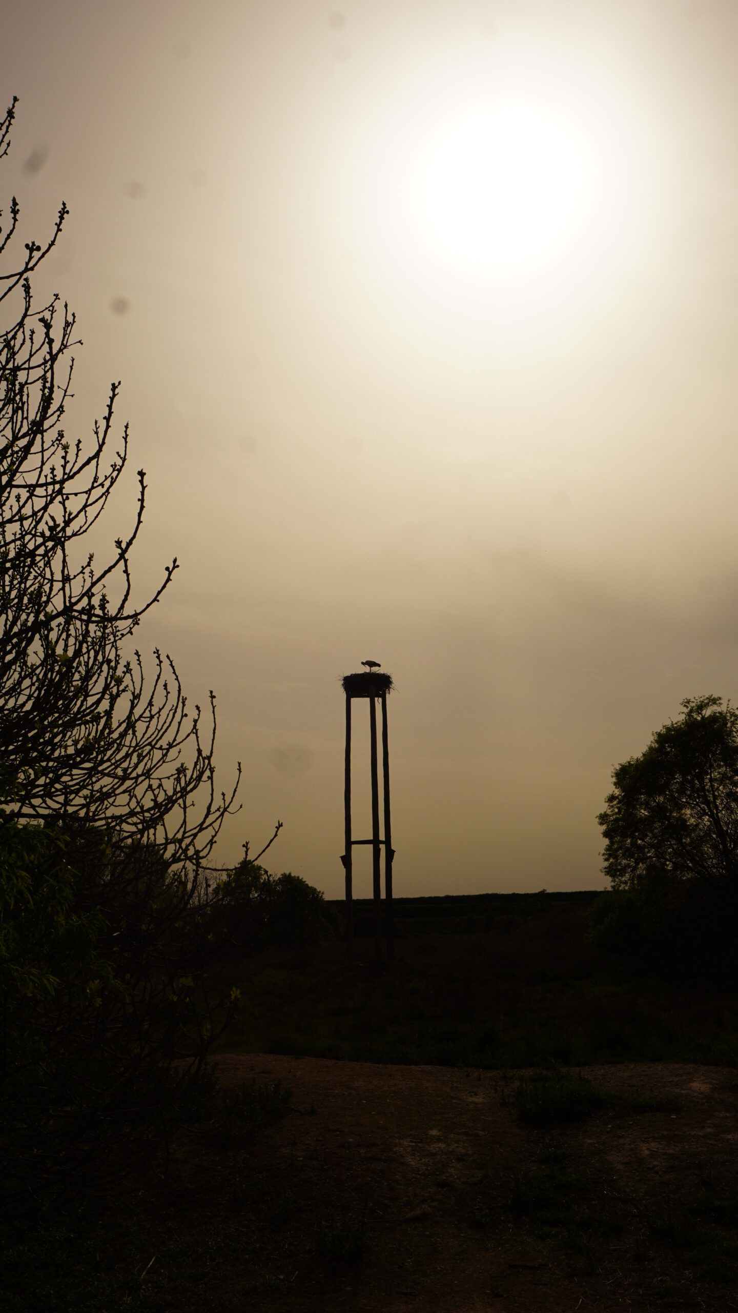 estany d'ivars i vlla-sana entrada oest