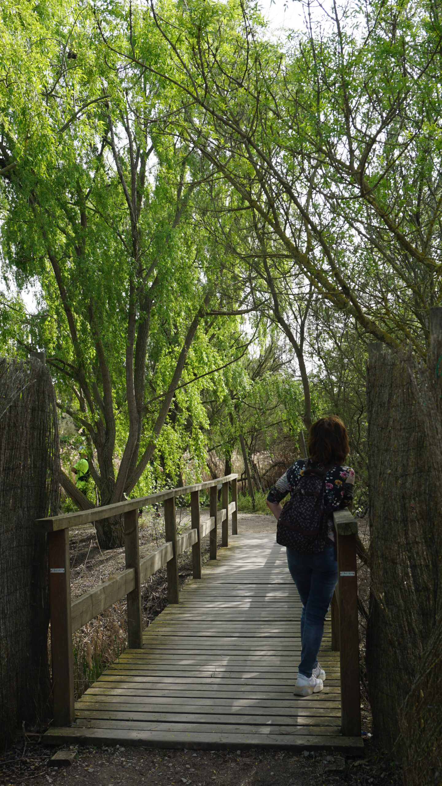 estany d'ivars i vlla-sana entrada sud