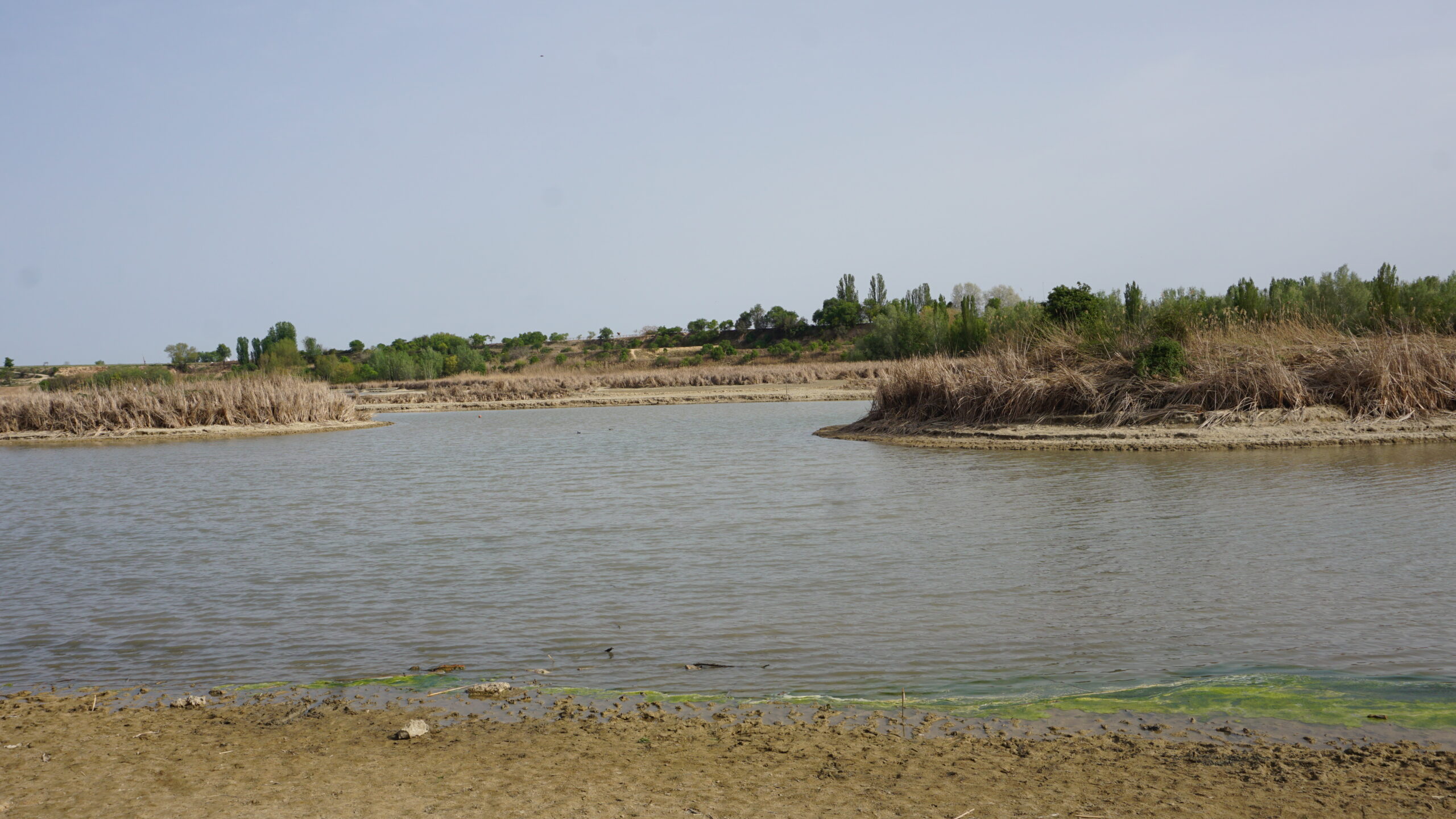 estany d'ivars i vlla-sana entrada oest