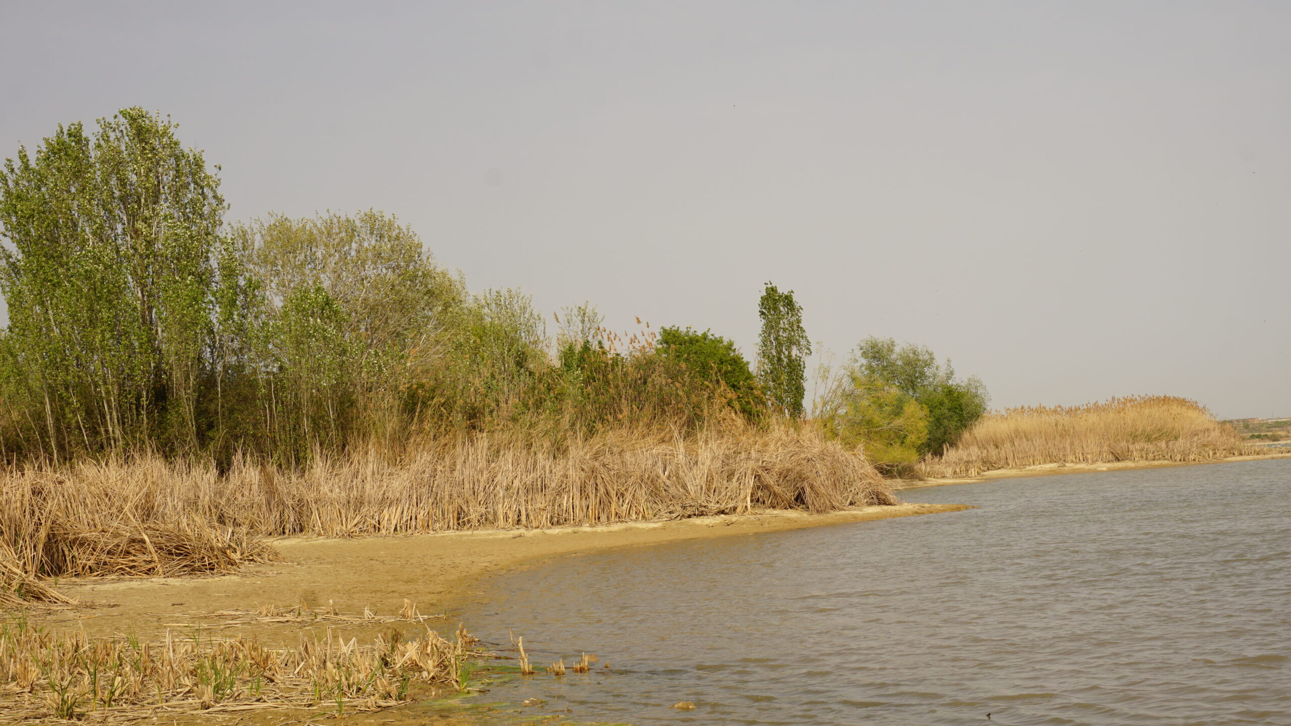 estany d'ivars i vlla-sana entrada oest