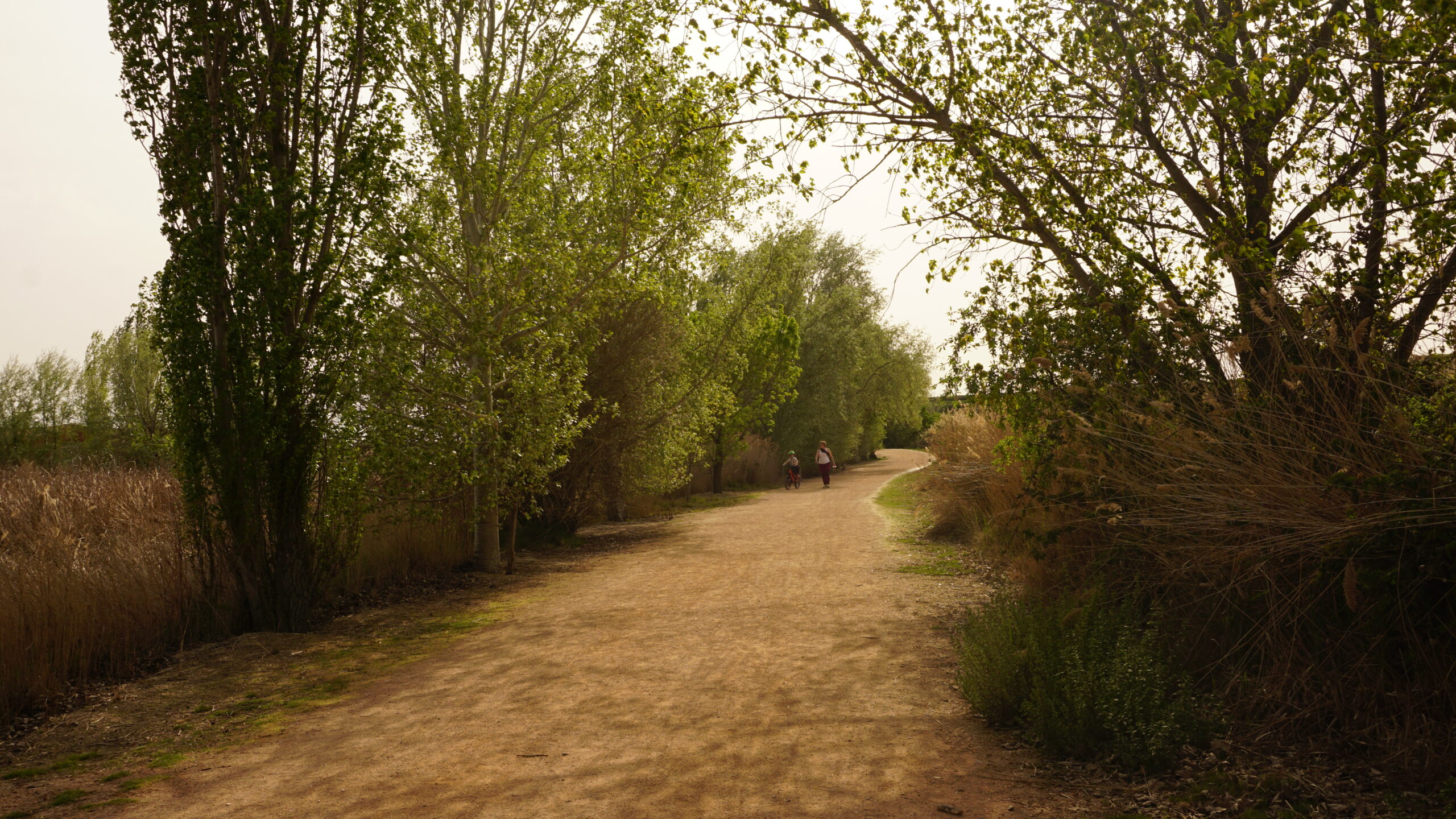 estany d'ivars i vlla-sana entrada oest