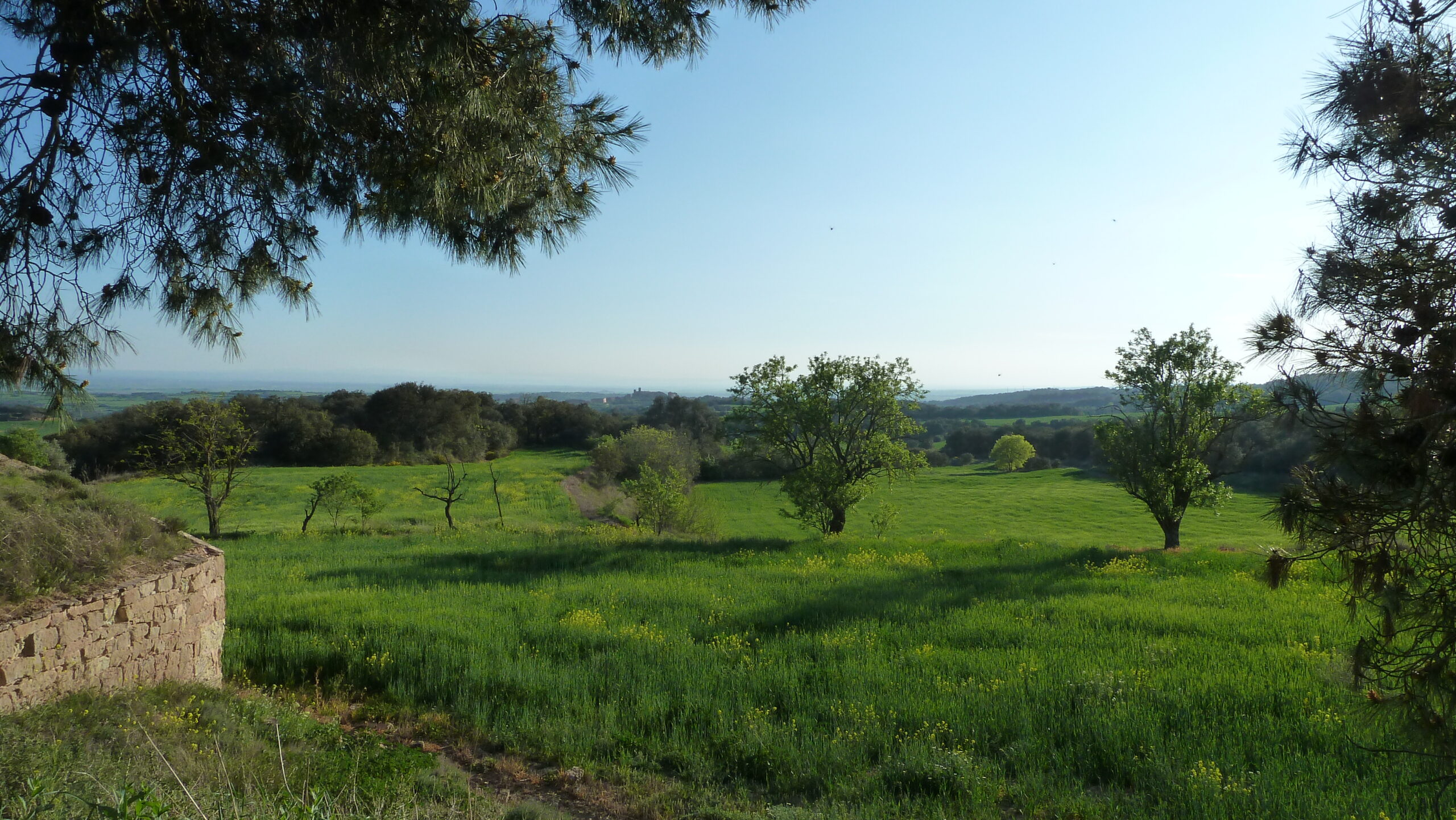 florejacs, castell i sant pere de les sitges