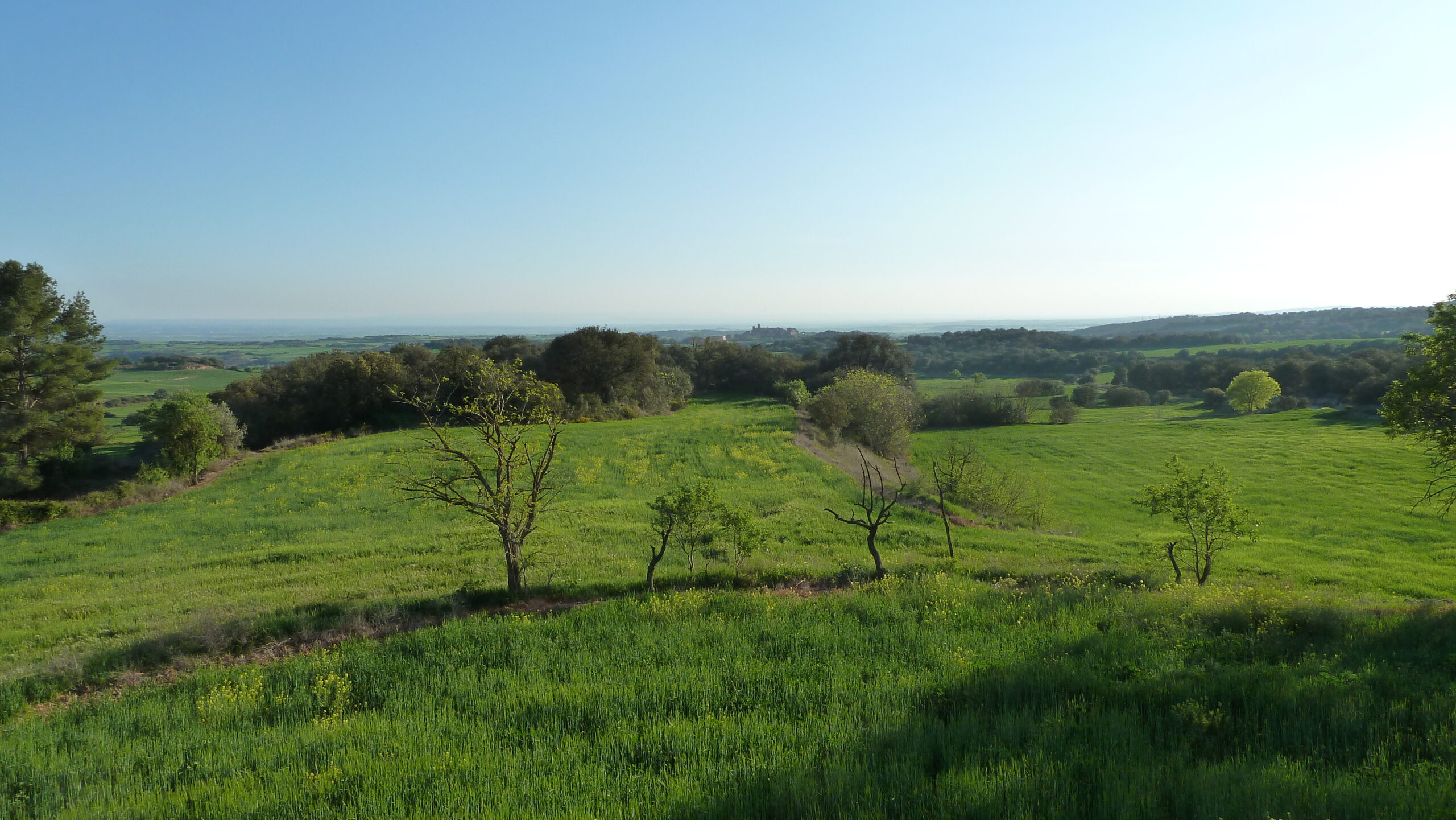 florejacs, castell i sant pere de les sitges