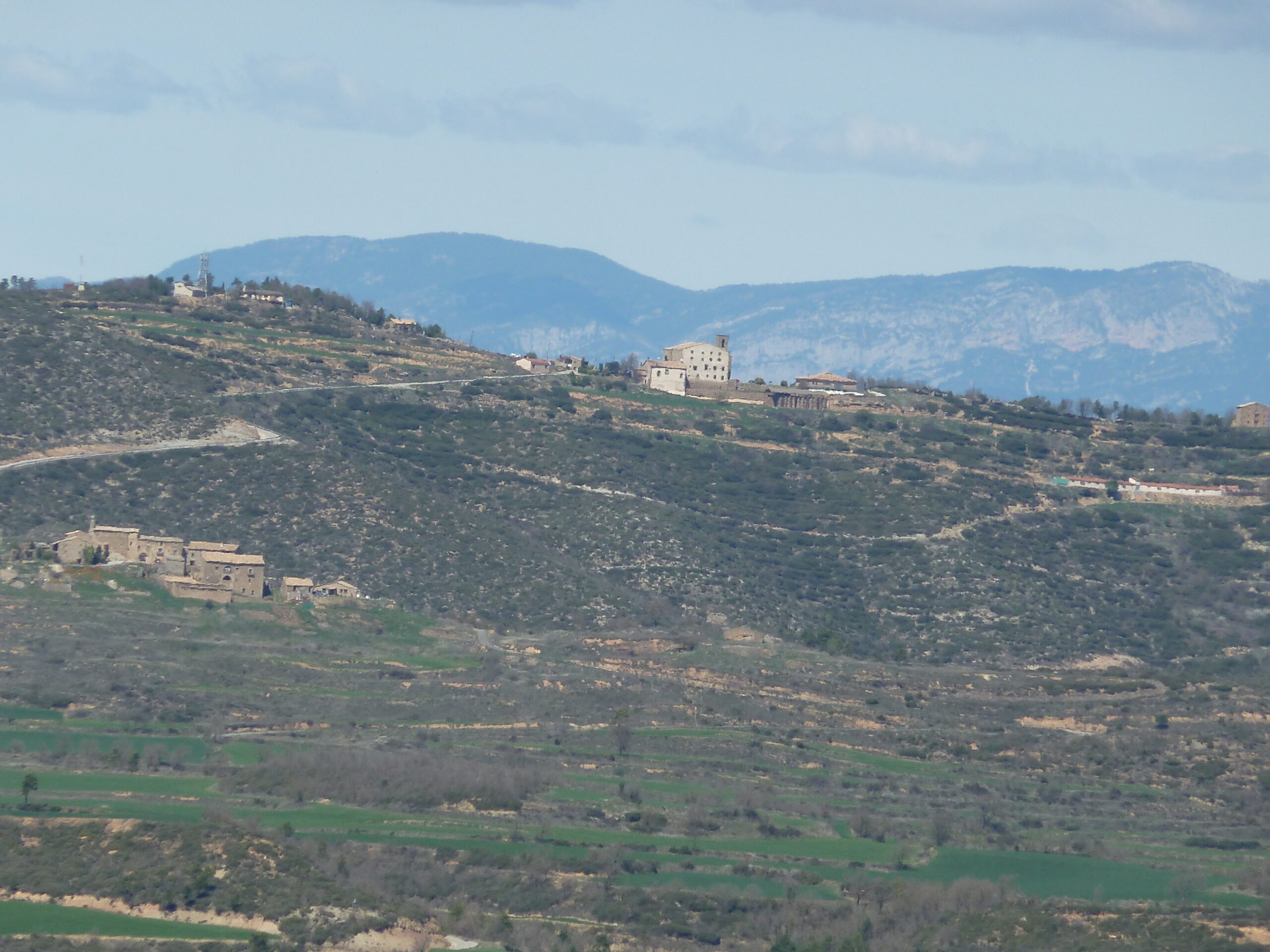 la molsosa, esglèsia