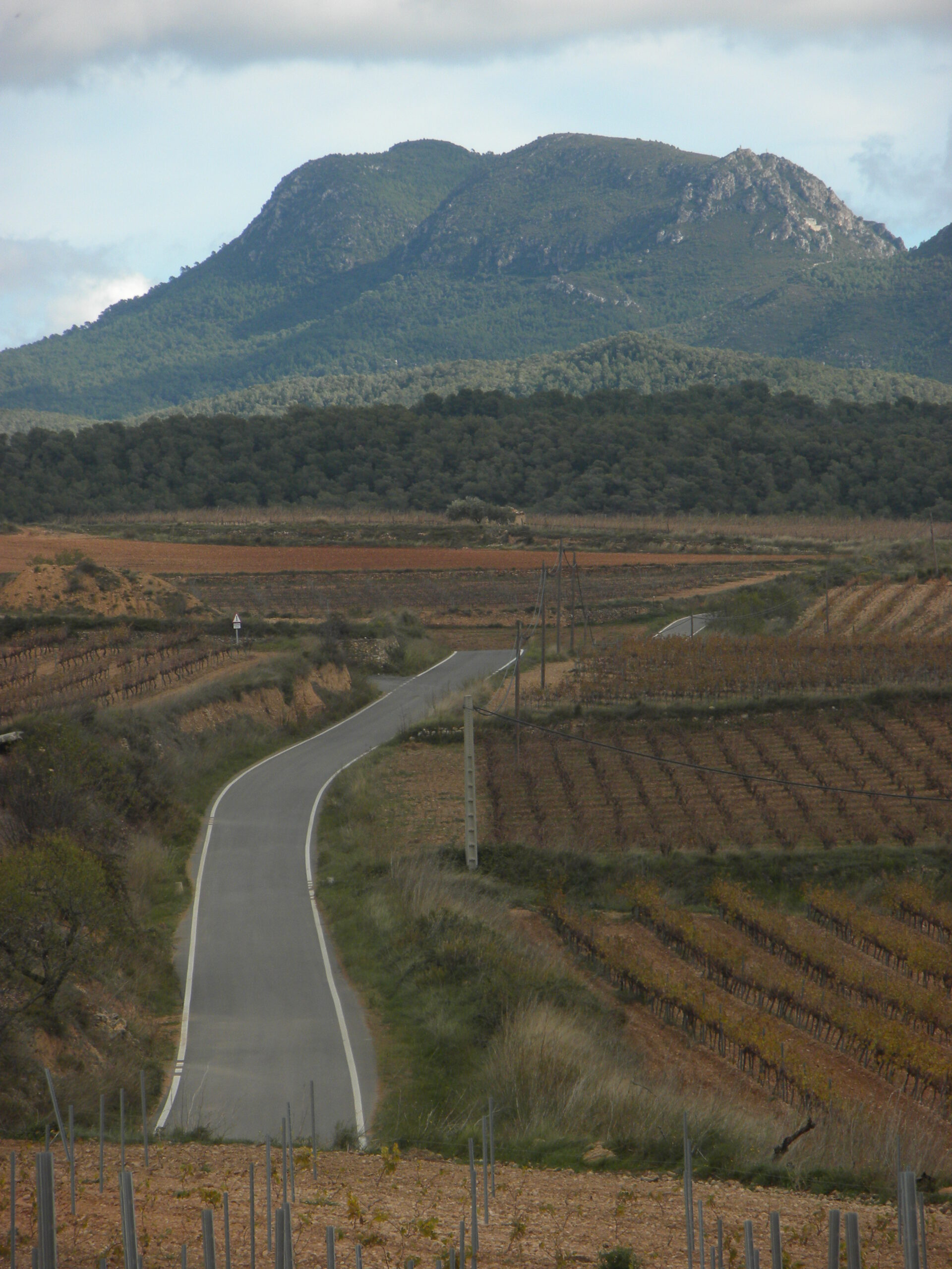 vila-rodona, el montmell