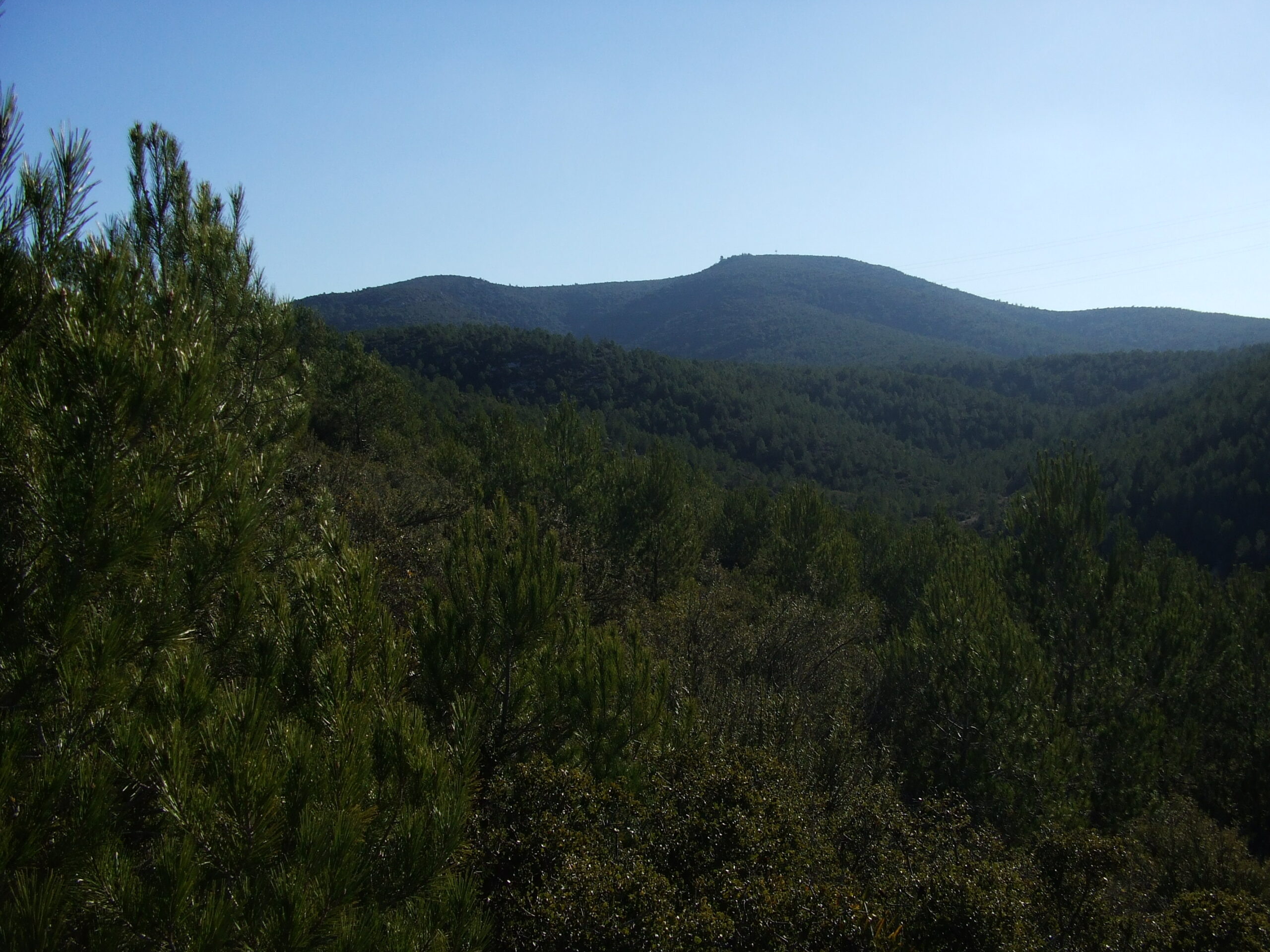 corbera de llobregat