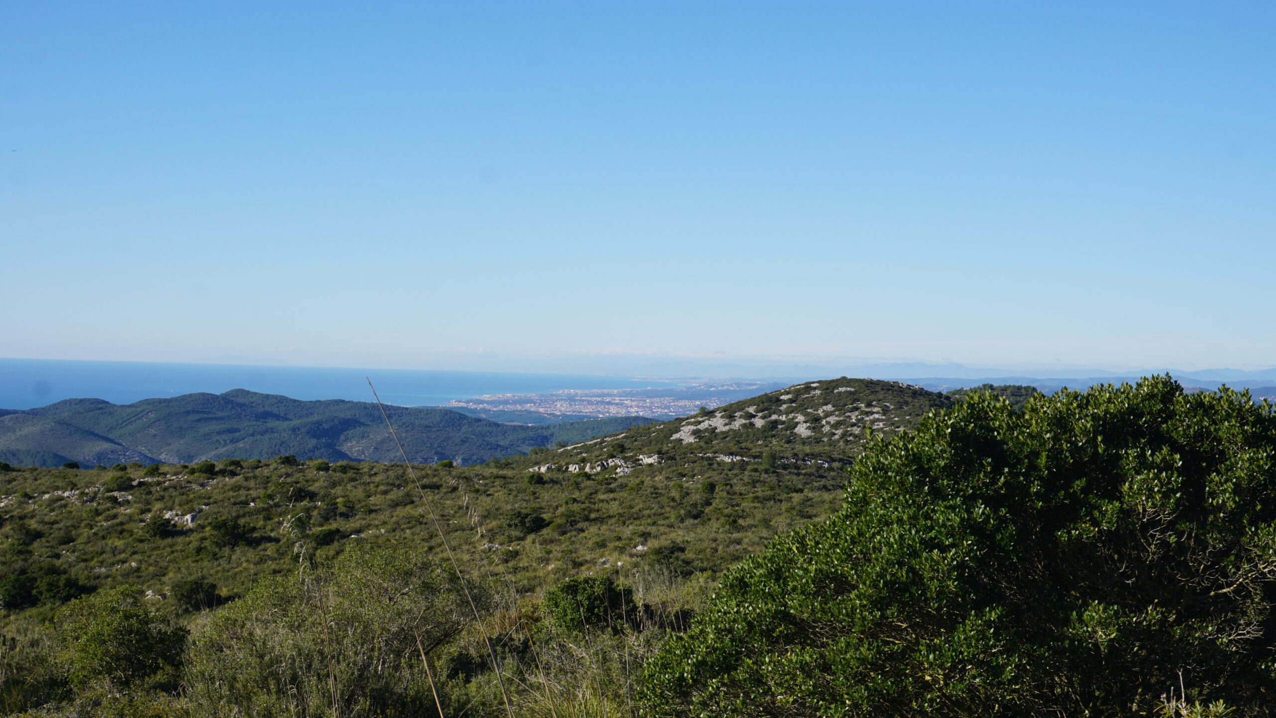 puig sabataire, tram