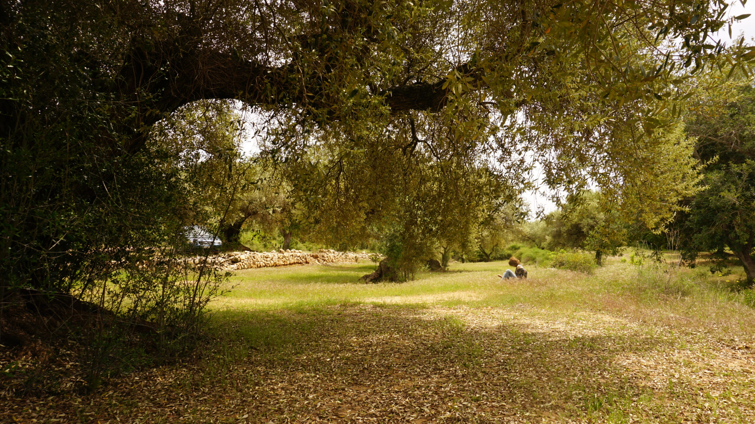 serra de montsià, la bassa blanca