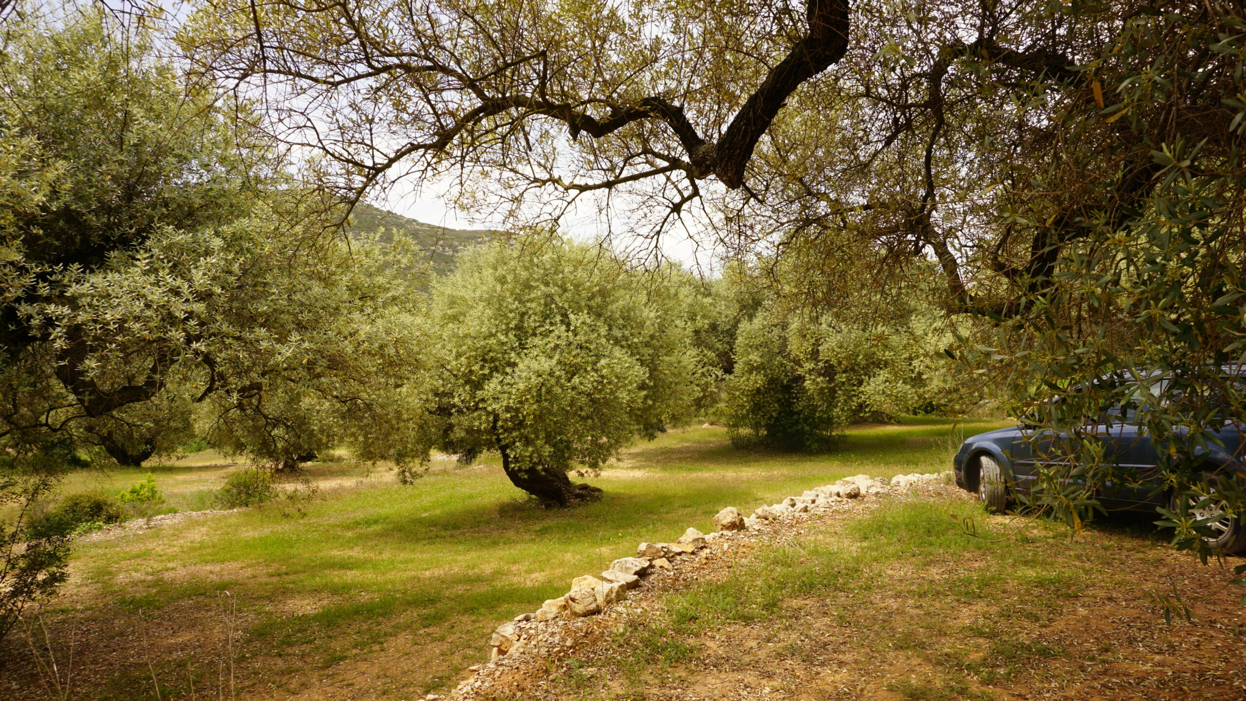 serra de montsià, la bassa blanca, 202105
